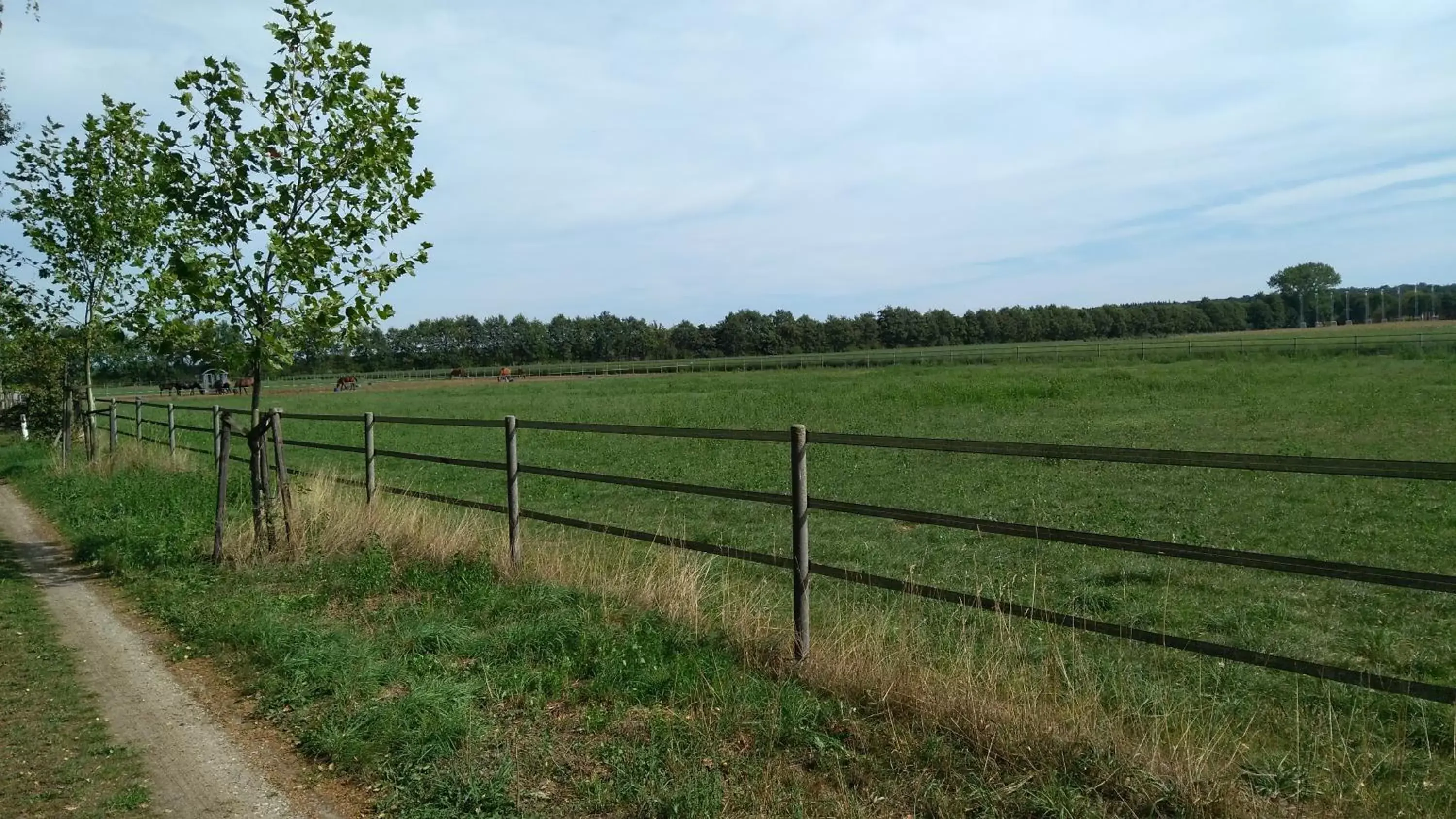 Natural landscape in B&B Het mooie uitzicht