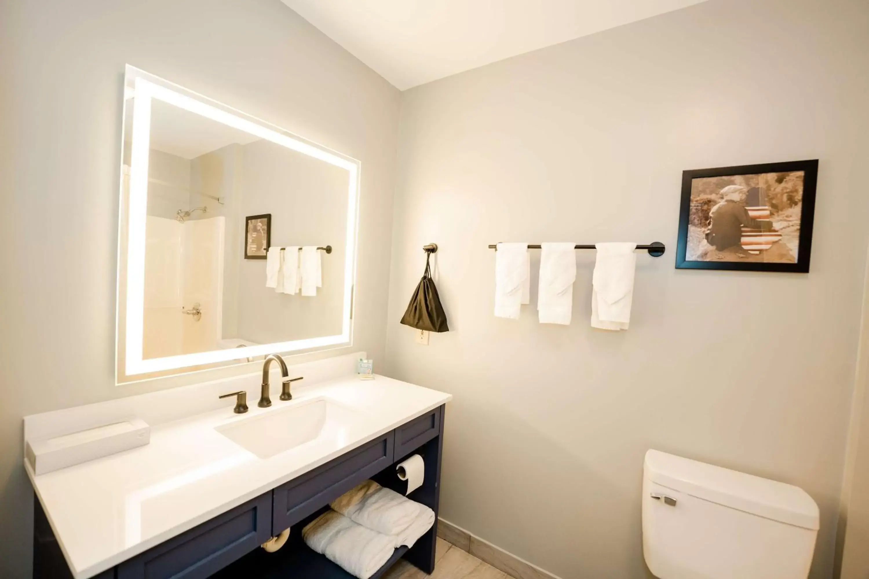 TV and multimedia, Bathroom in AmericInn by Wyndham Tomahawk