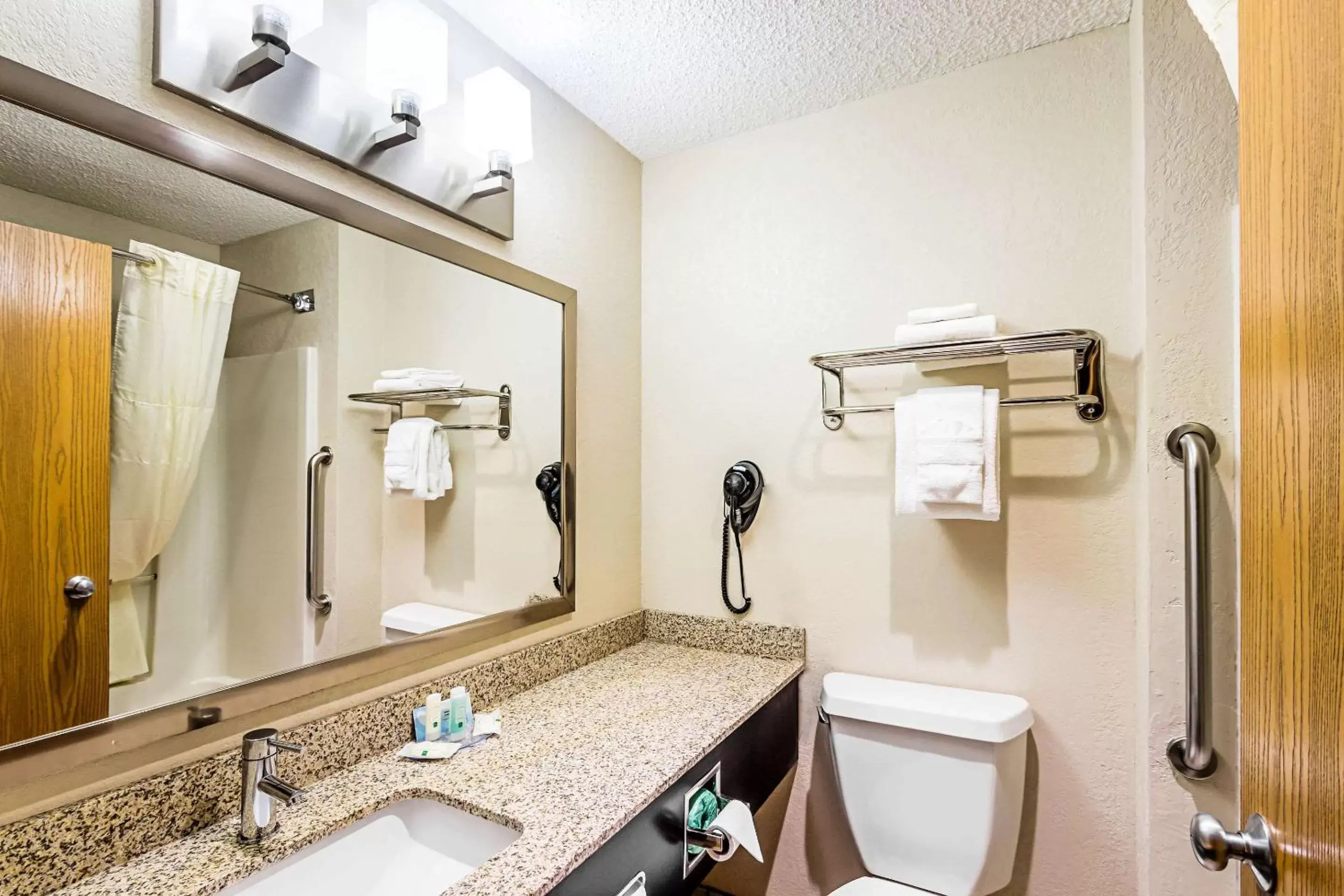 King Room - Non-Smoking in Quality Inn Sheboygan