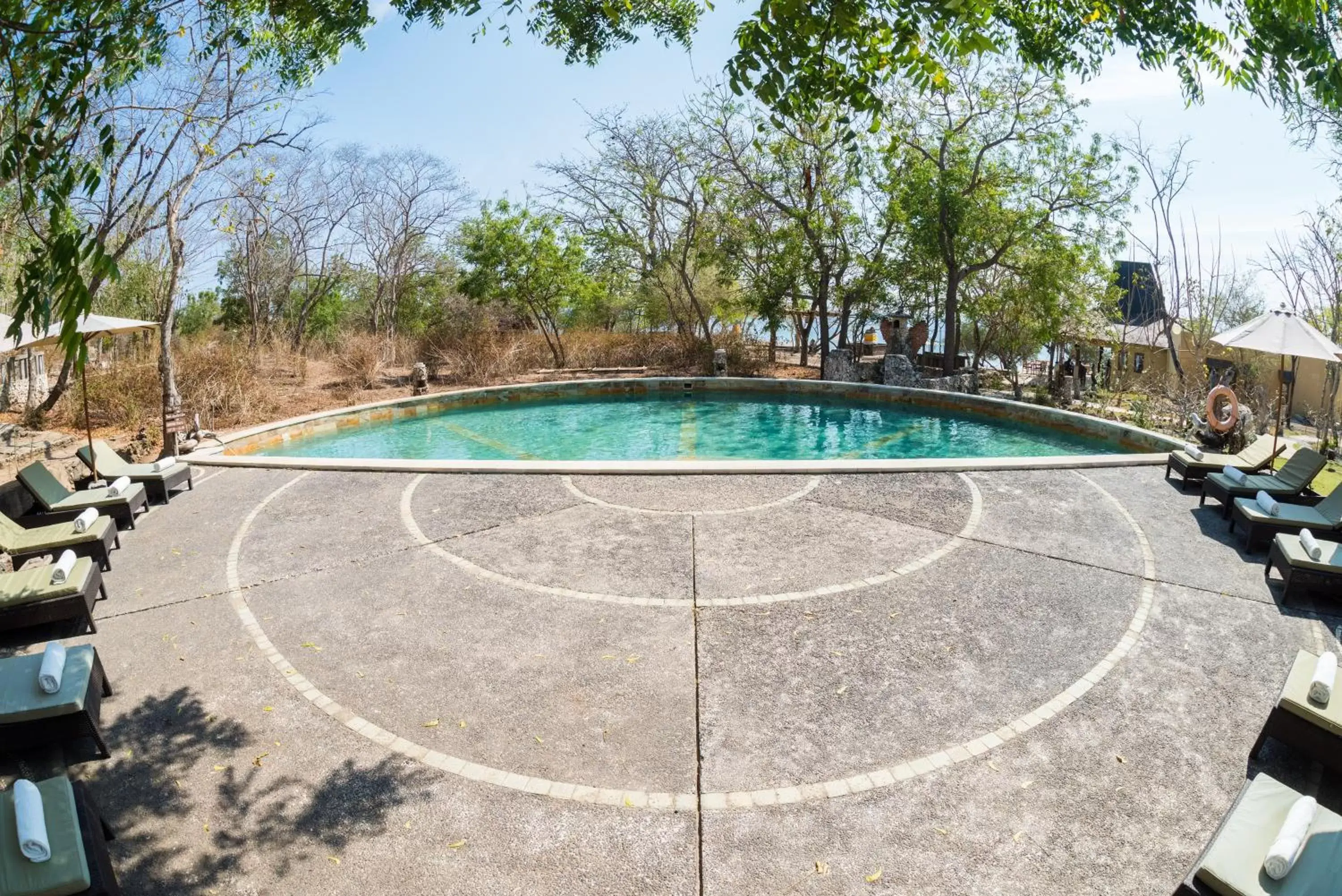 Swimming Pool in NusaBay Menjangan