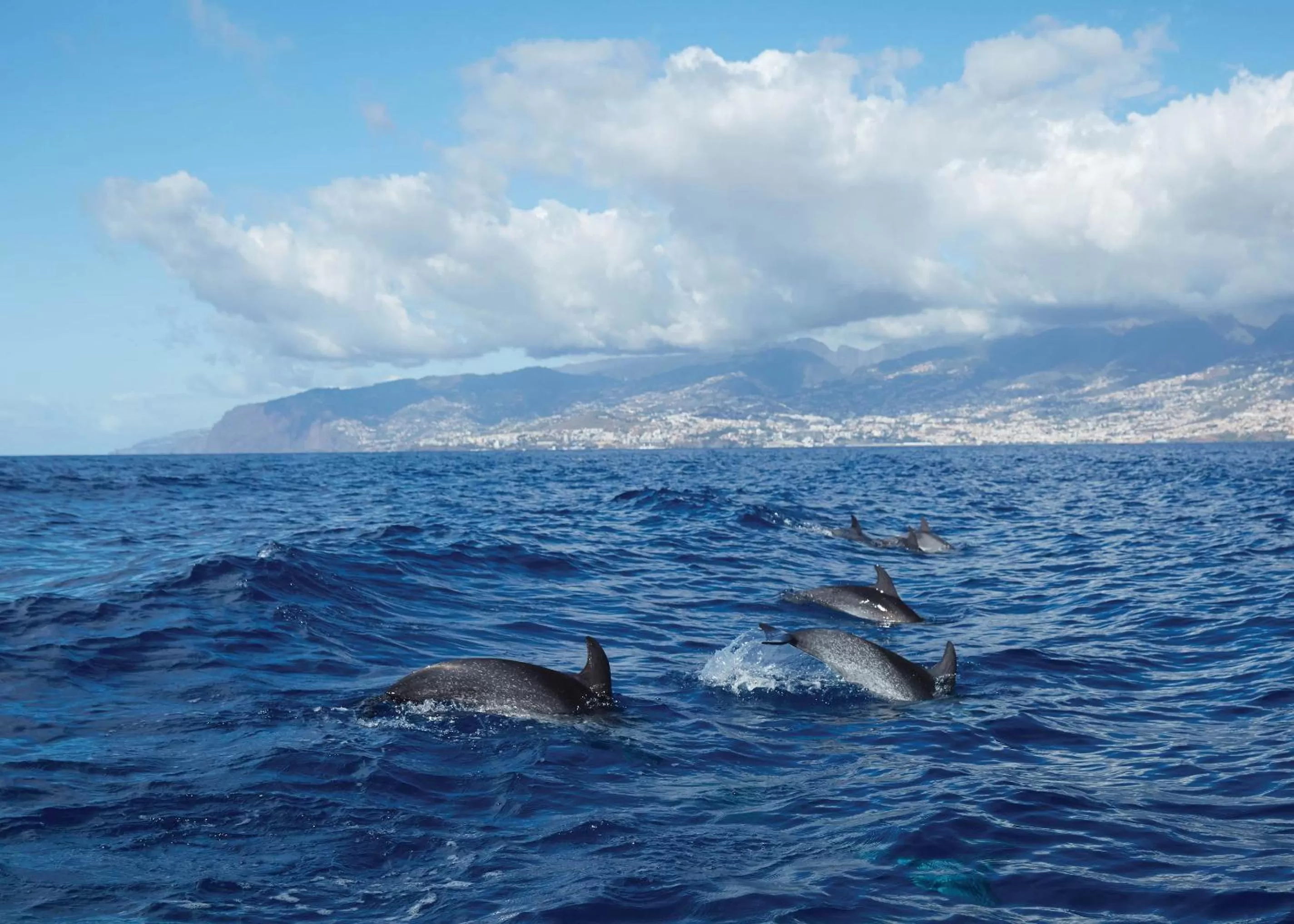 Off site in Reid's Palace, A Belmond Hotel, Madeira