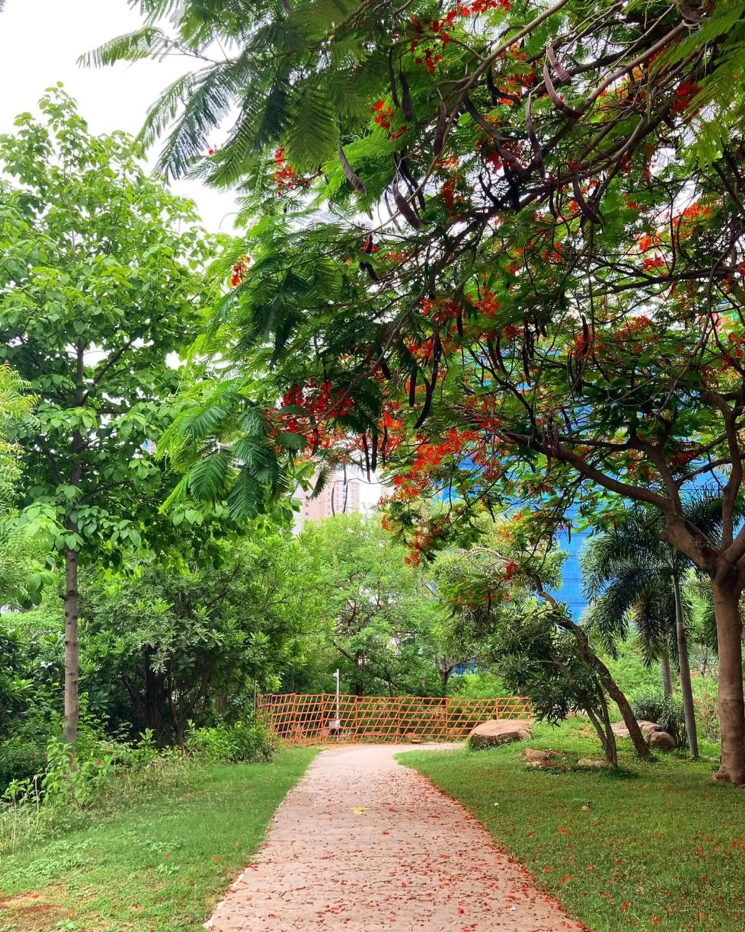 View (from property/room), Garden in Hyatt Hyderabad Gachibowli