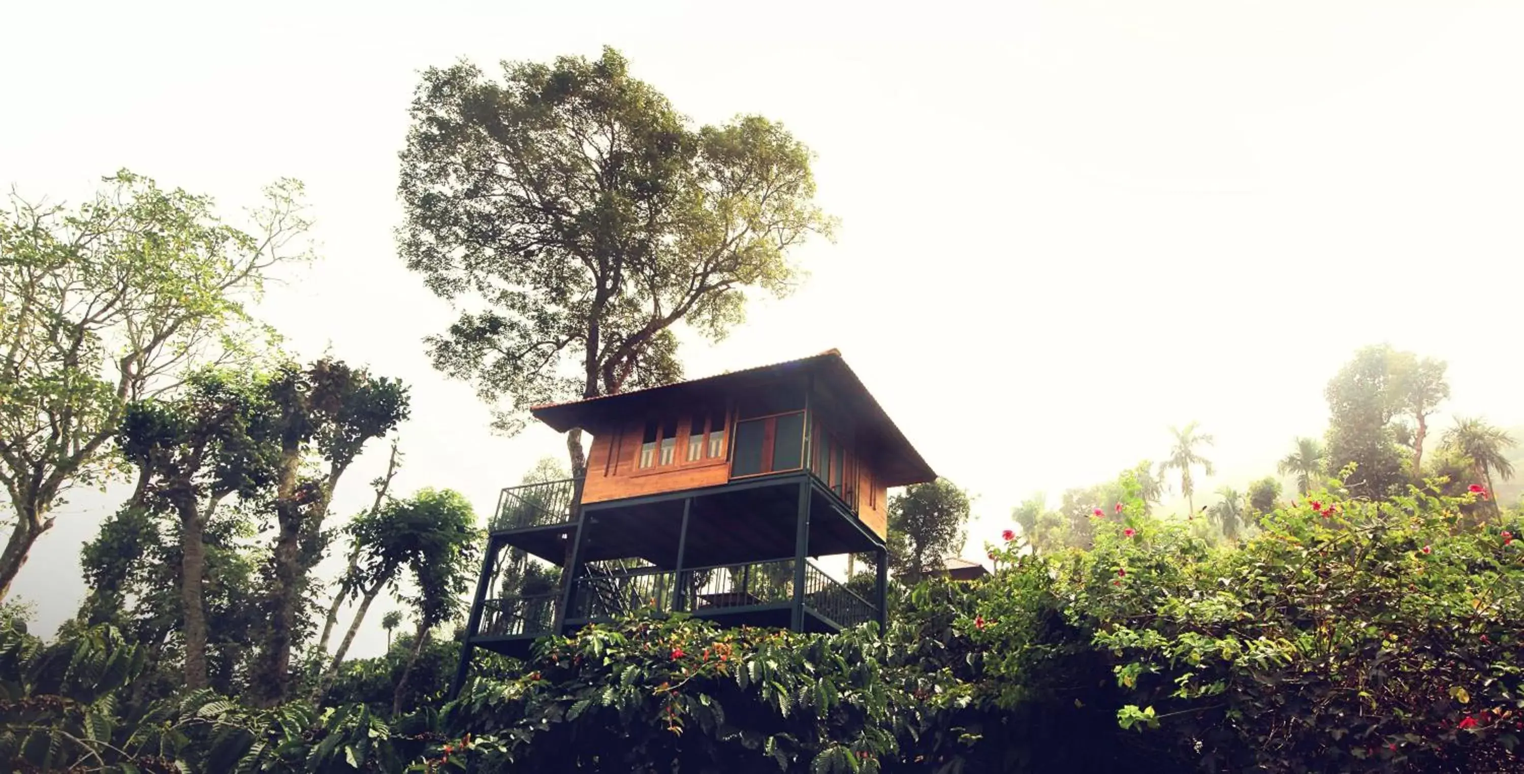 View (from property/room), Property Building in Marmalade Springs Resort Wayanad View (from property/room), Property Building in Marmalade Springs Resort Wayanad