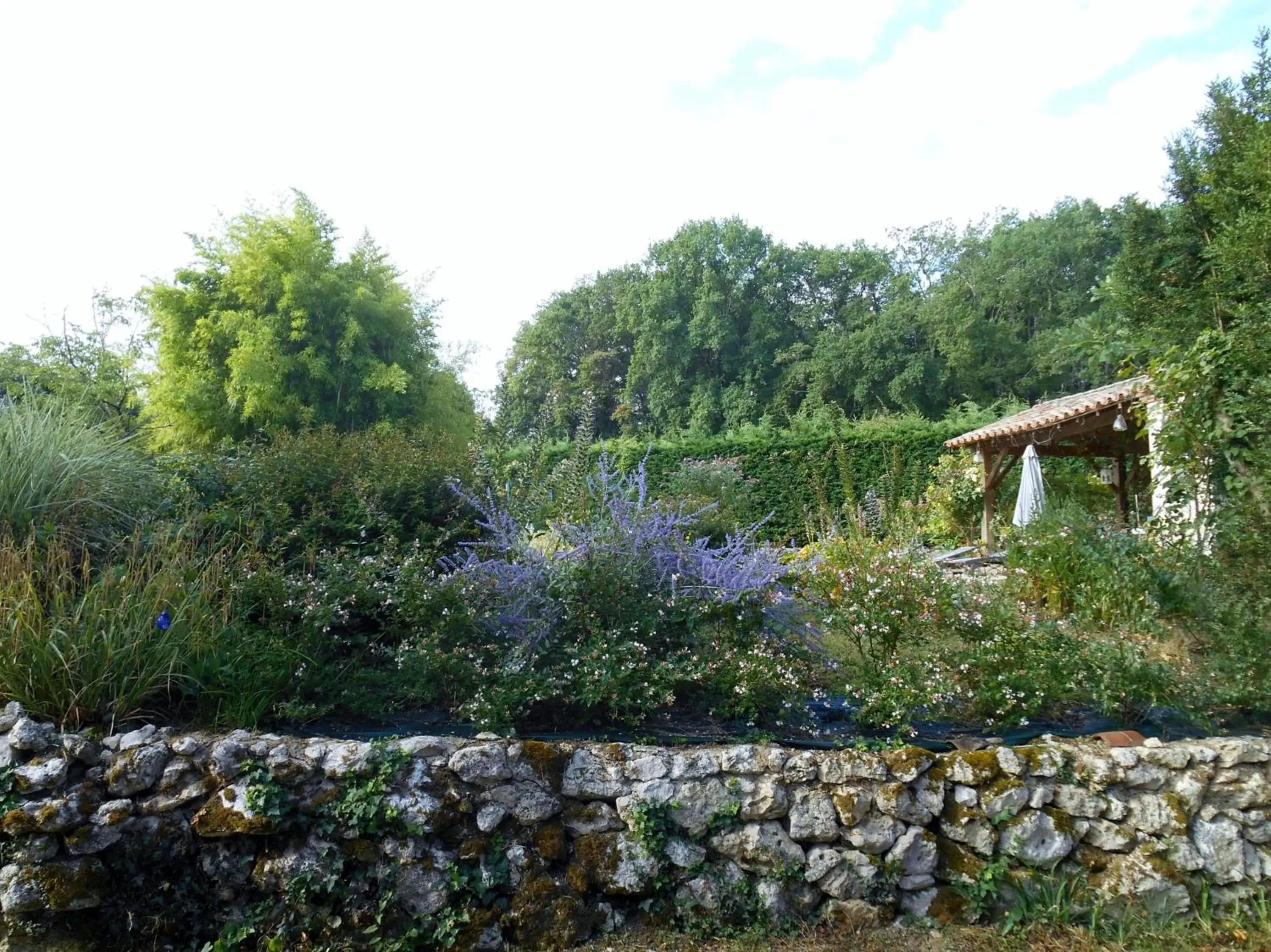 Natural landscape in Le Colombier