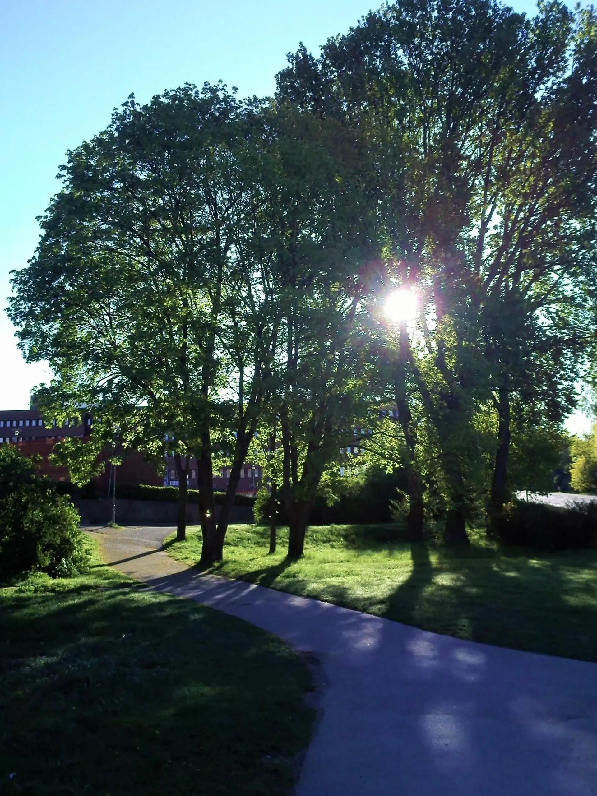 Day in Nacka Stadshotell