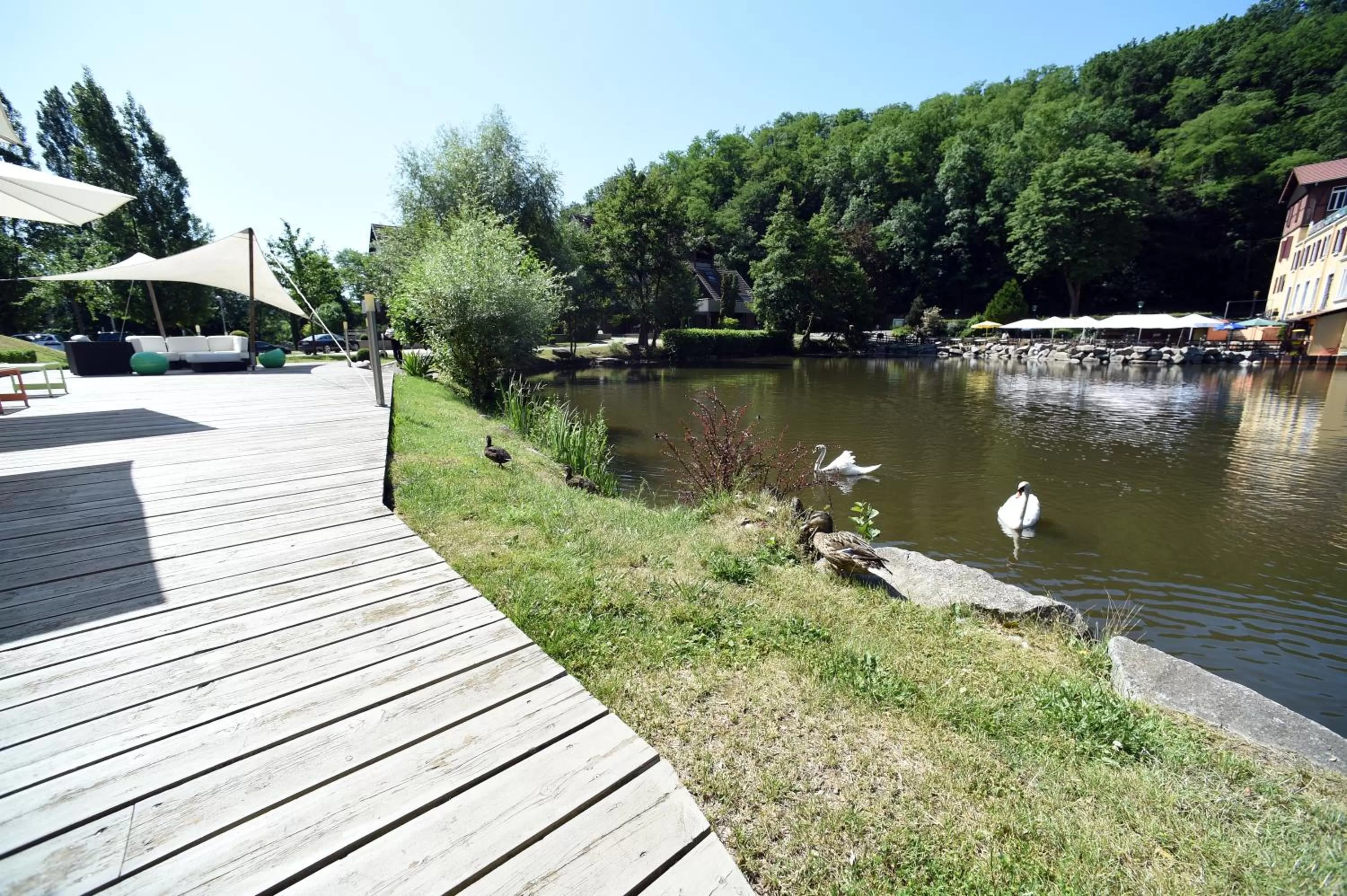 Balcony/Terrace in Hôtel Les Rives