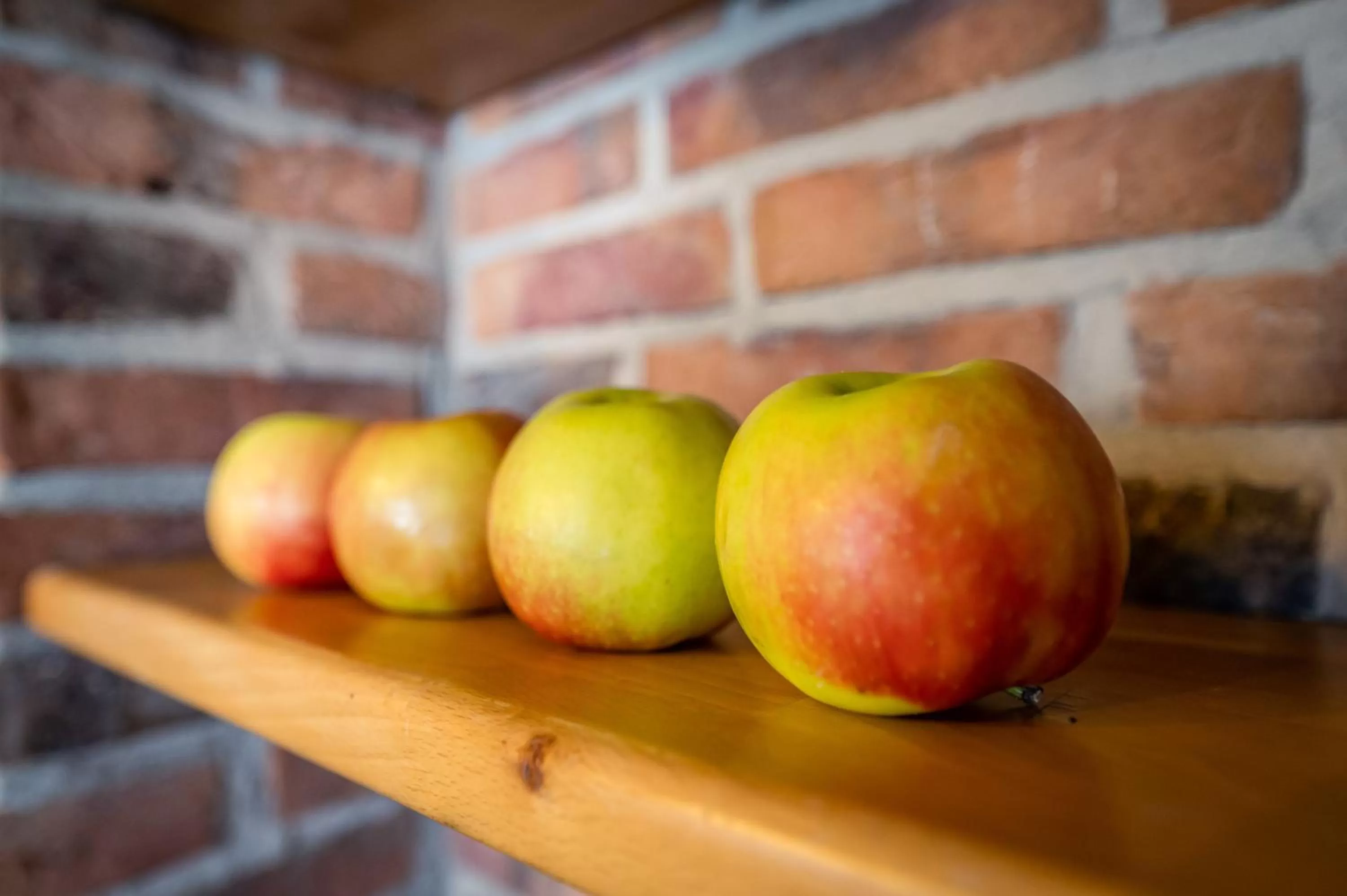 Haus Ferienglück Sauna im Haus