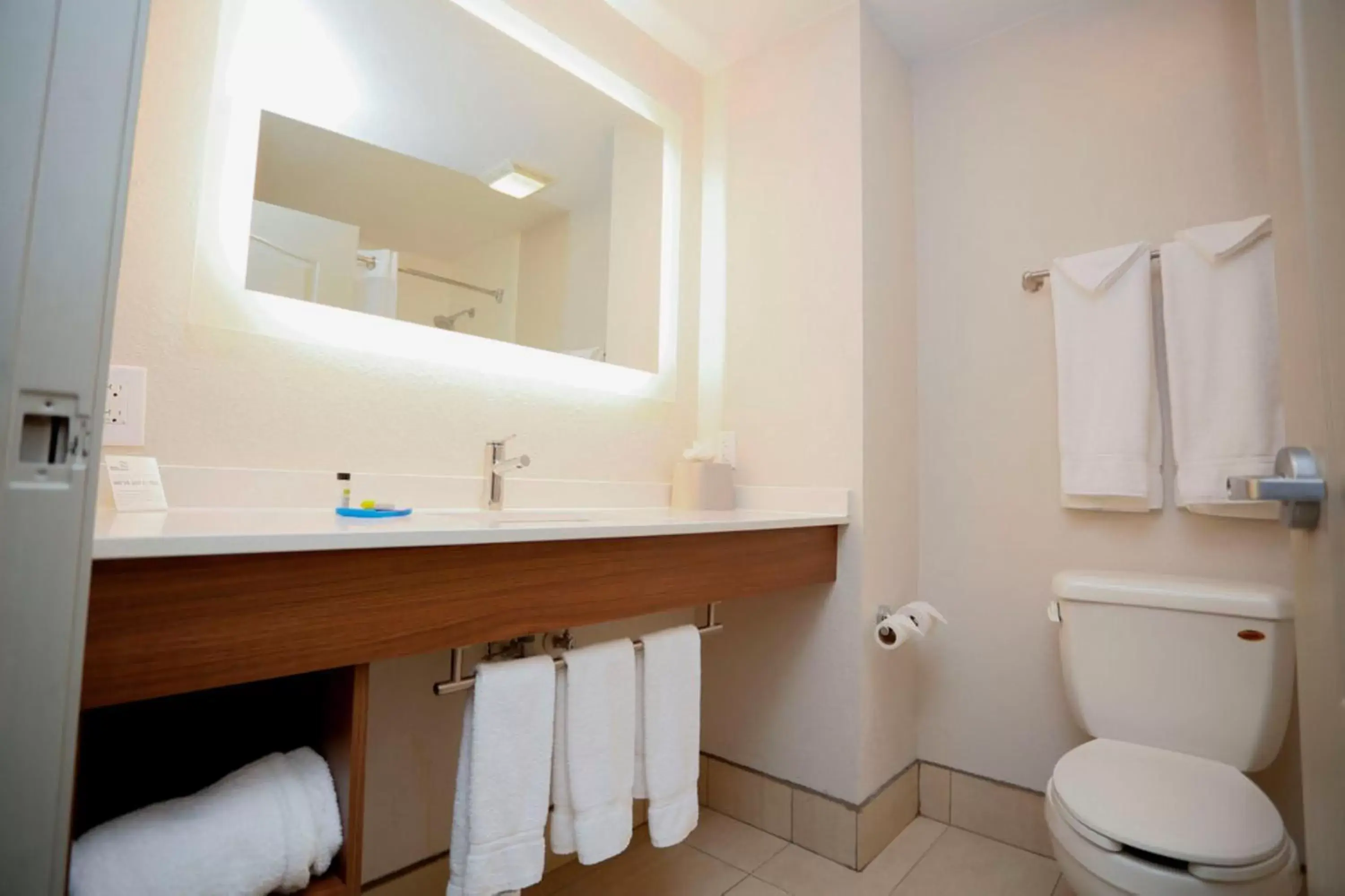 Photo of the whole room, Bathroom in Holiday Inn Express Hotel & Suites Carlsbad, an IHG Hotel