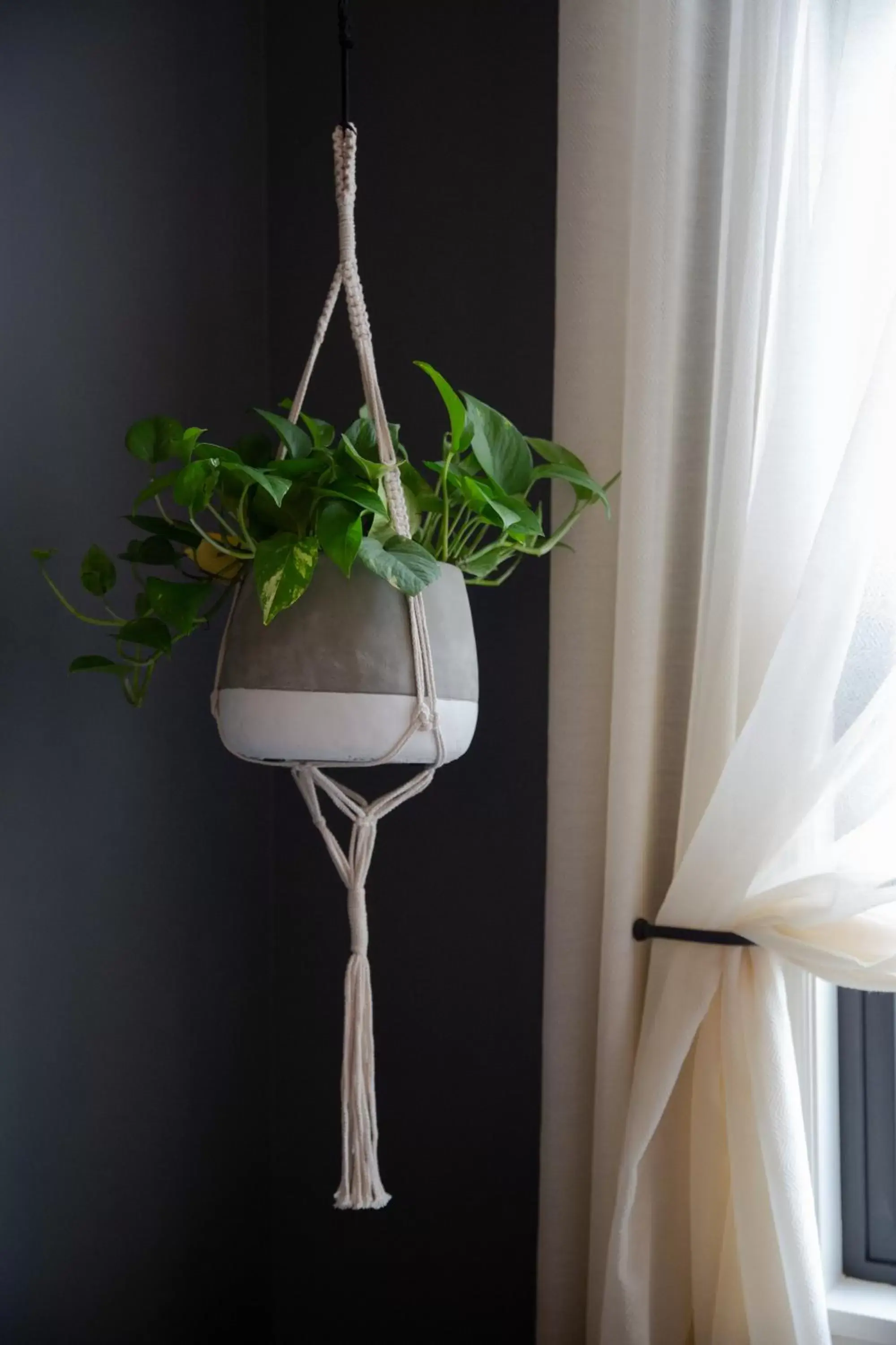 Standard Studio in Atticus Hotel Standard Studio in Atticus Hotel