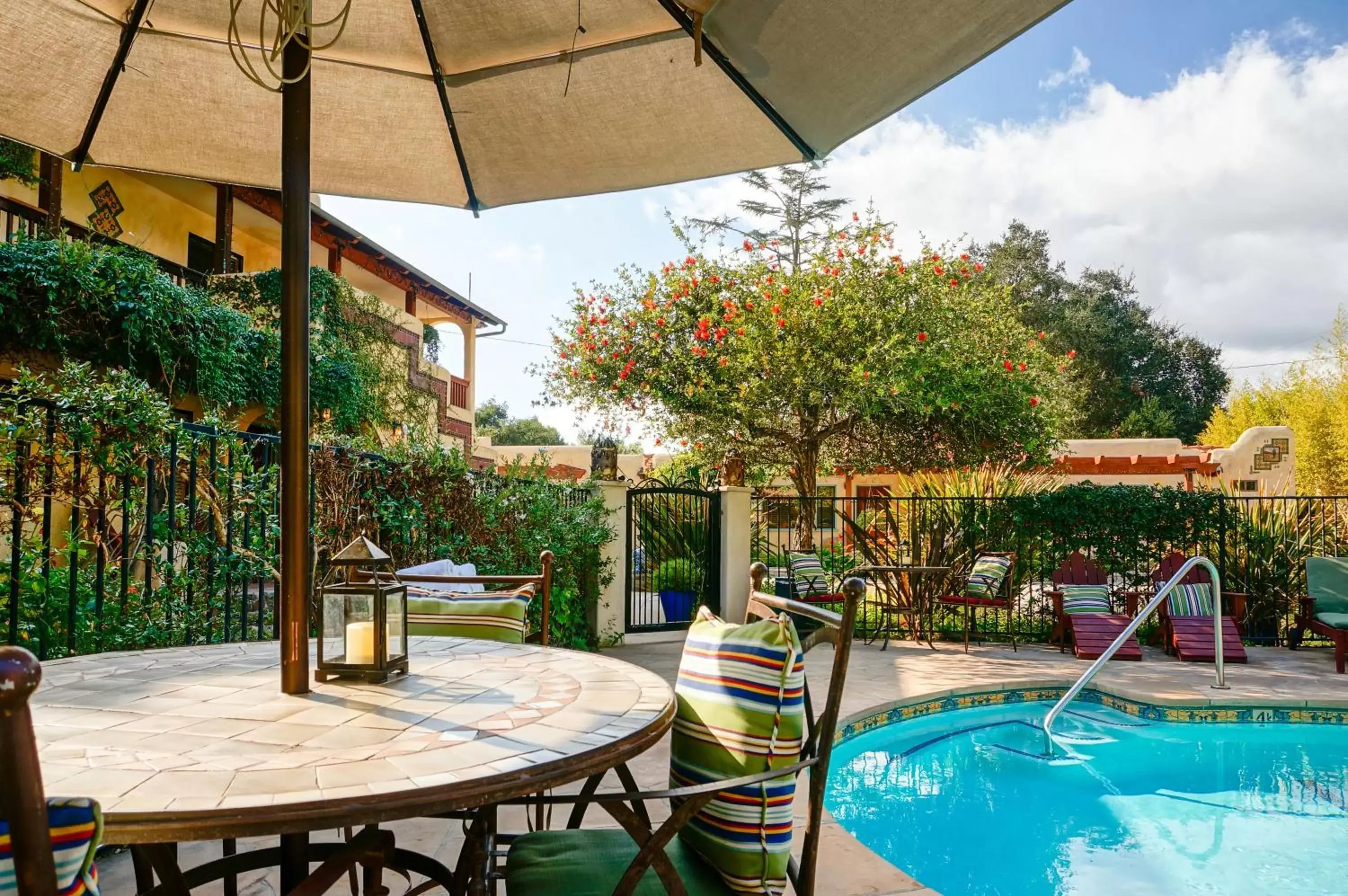 Swimming Pool in Blue Iguana Inn