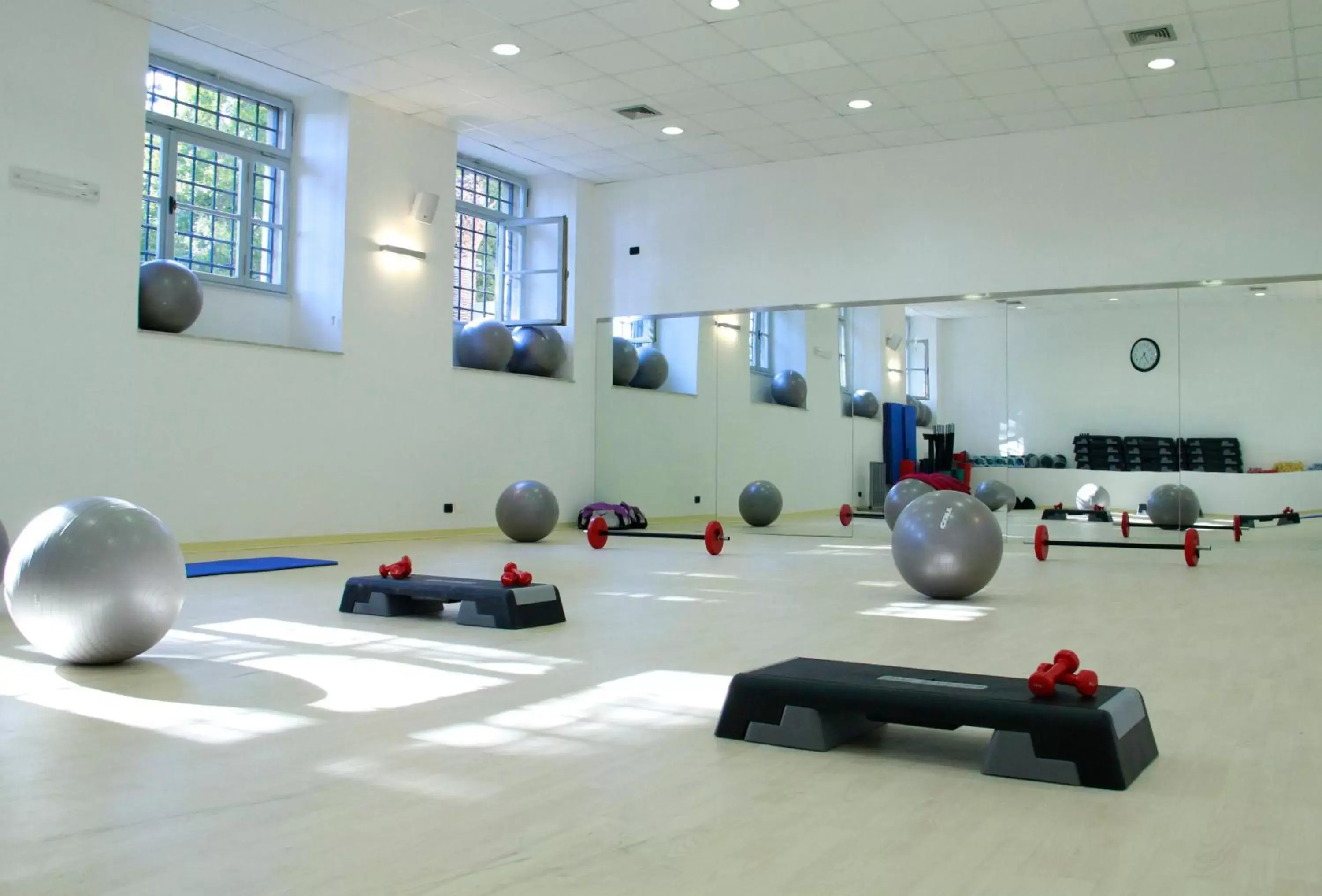 Fitness centre/facilities, Fitness Center/Facilities in Excel Roma Montemario