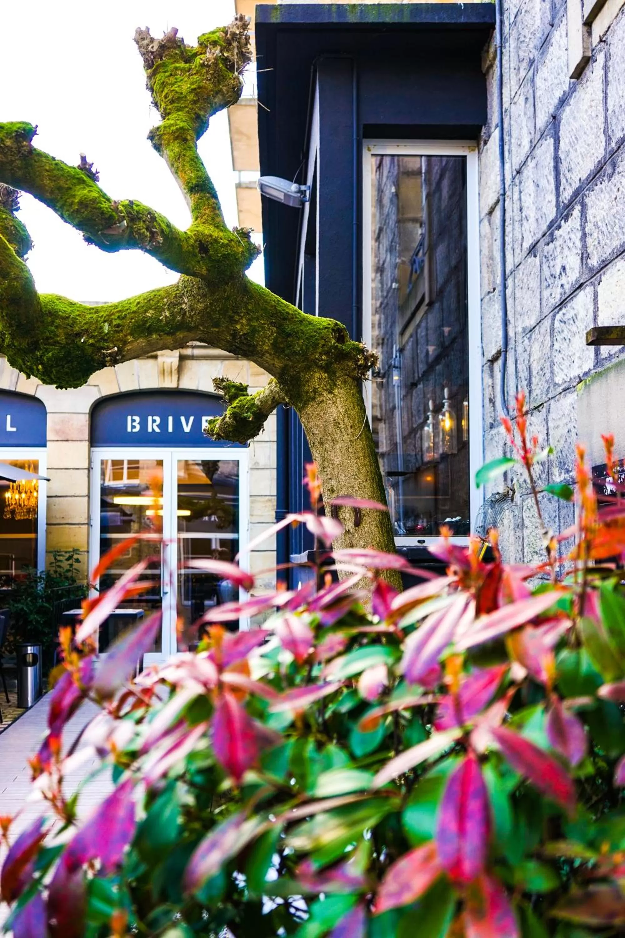 Property building in Grand Hôtel Brive