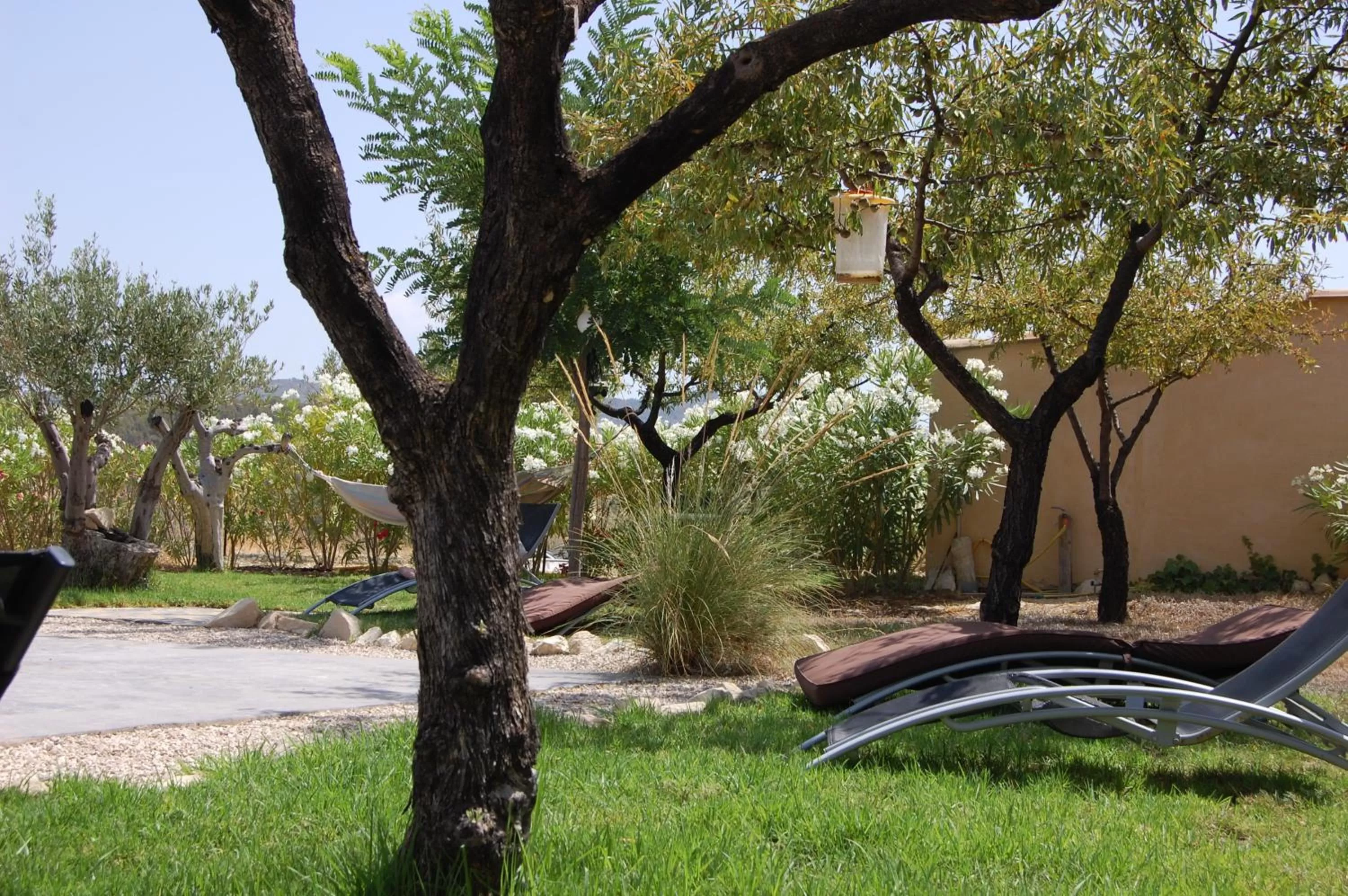 Garden view in El Pao Spa