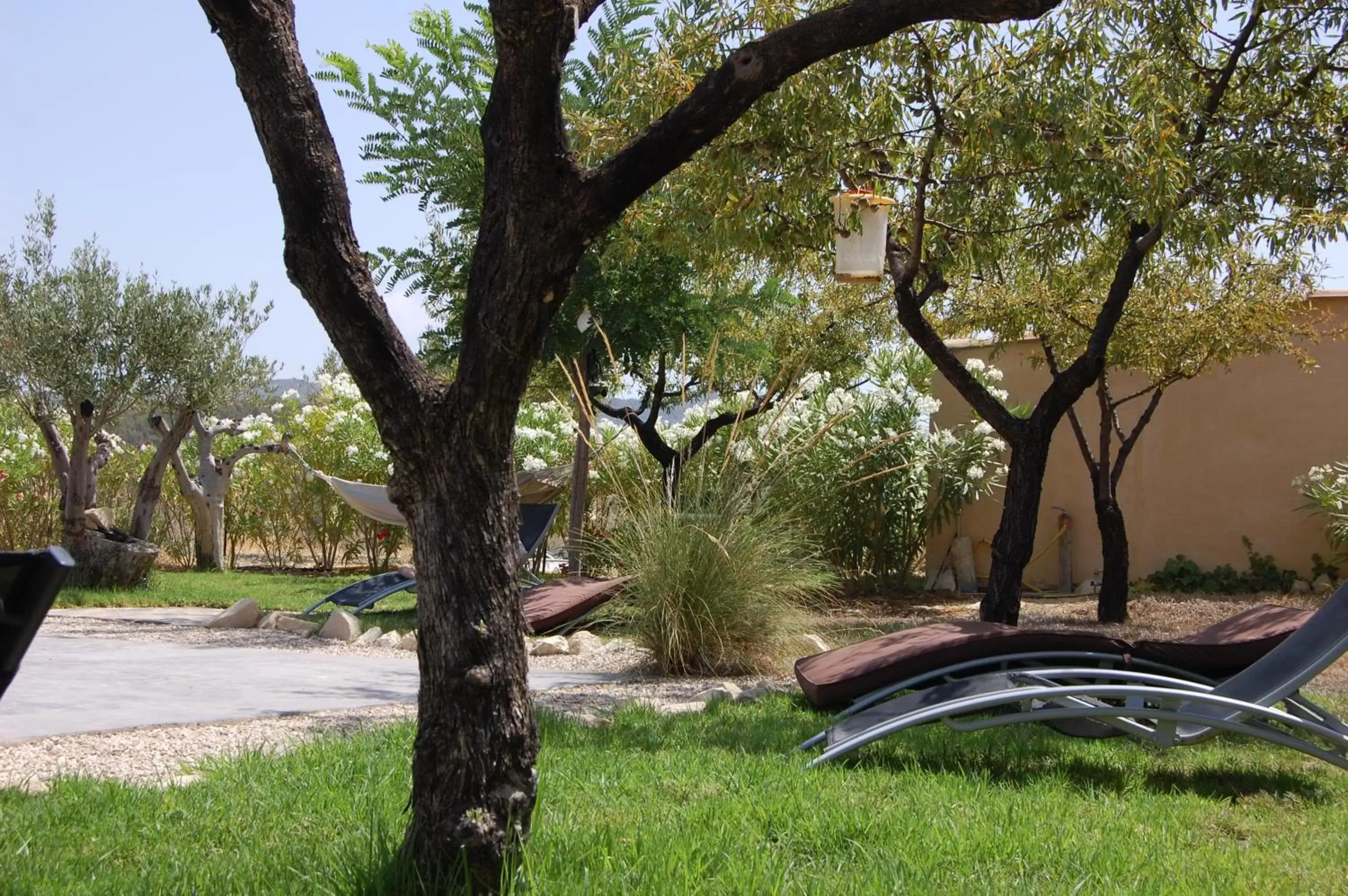 Garden view in El Pao Spa Garden view in El Pao Spa