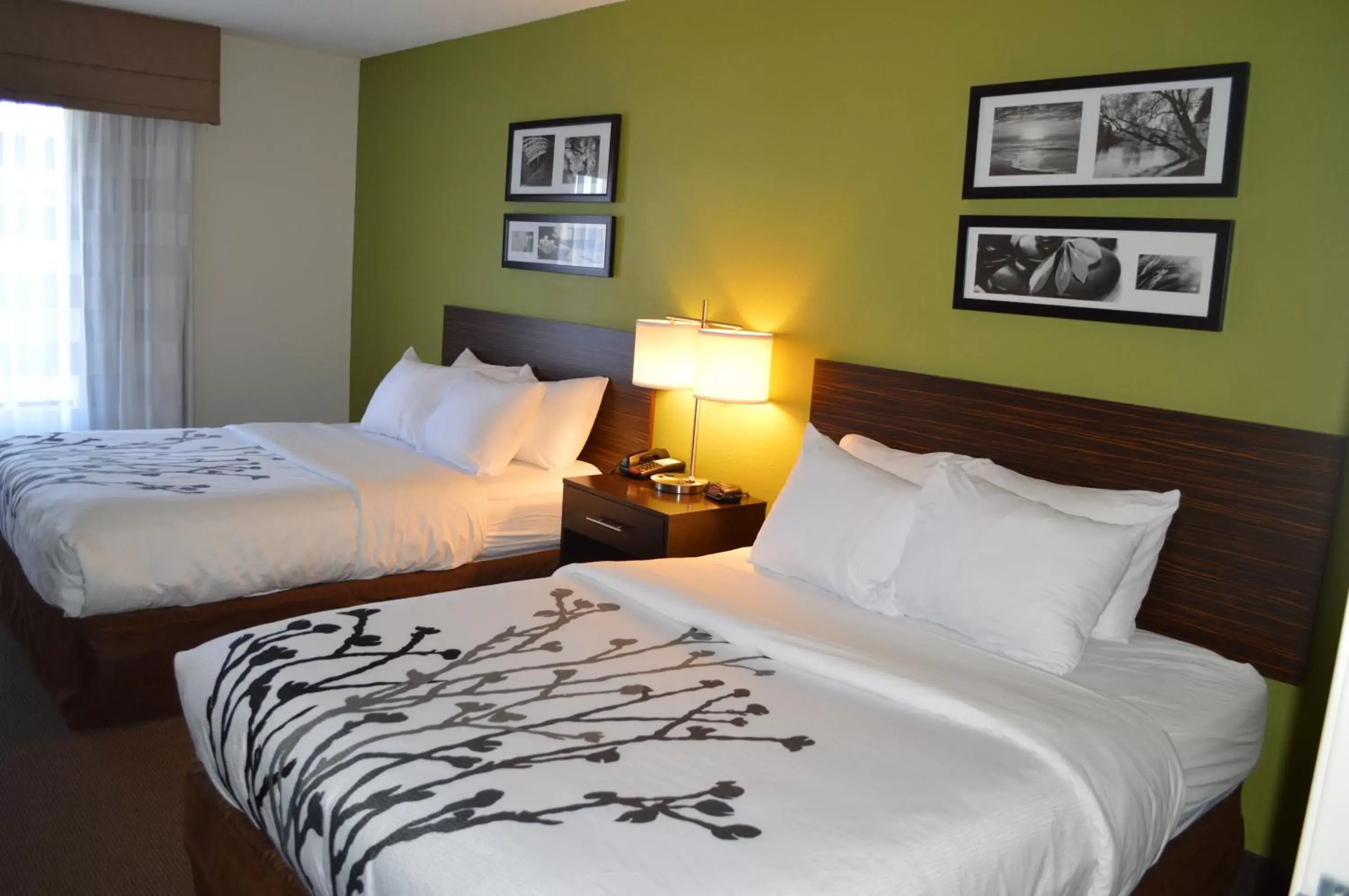 Queen Suite with Two Queen Beds - Non-Smoking in Sleep Inn & Suites Virginia Horse Center