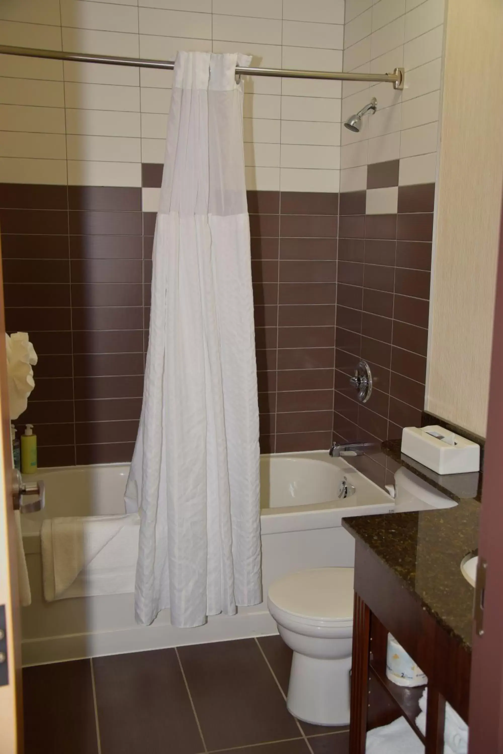 Bathroom in Coast Lethbridge Hotel & Conference Centre