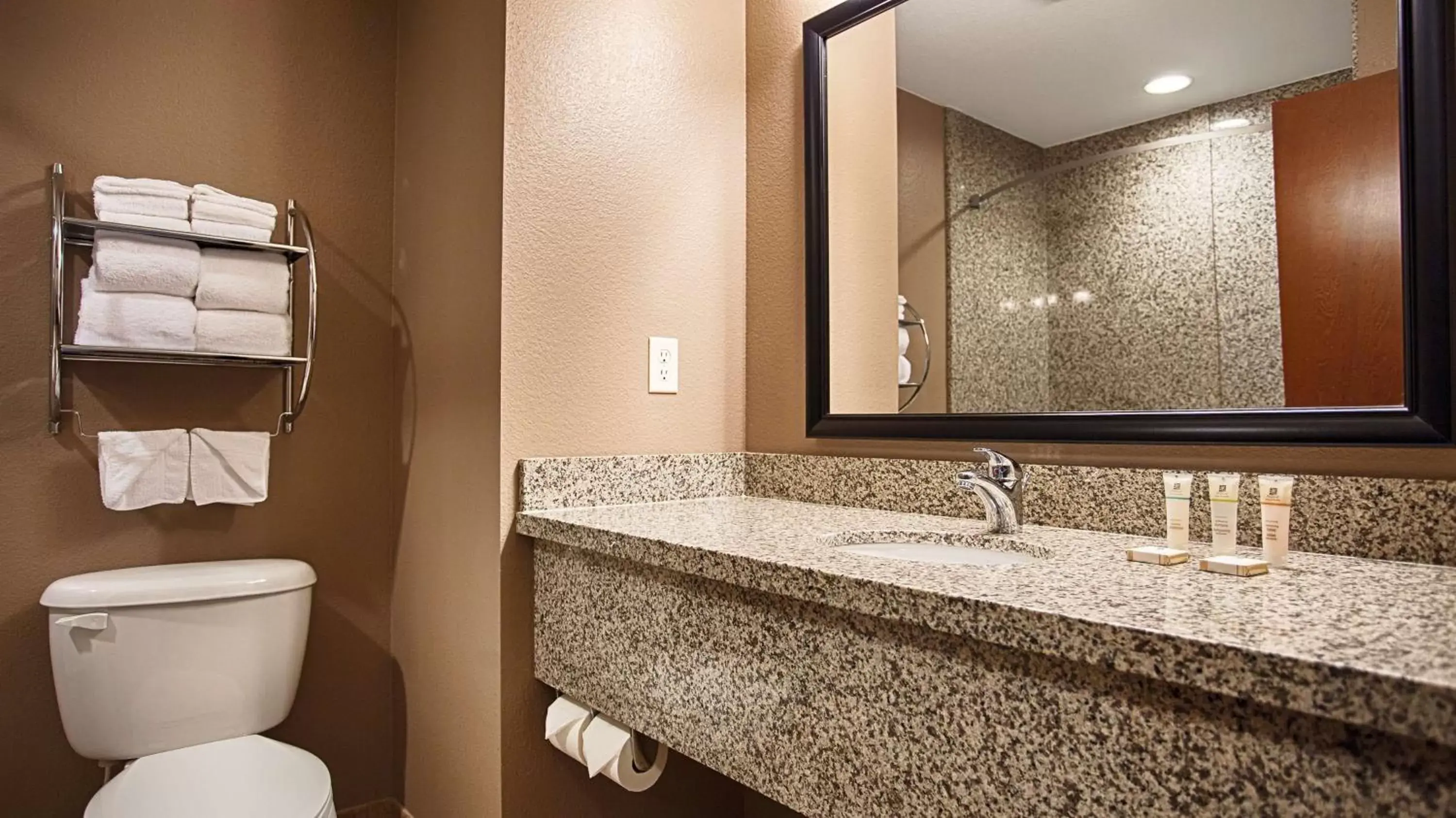 Bathroom in Best Western Plus Carousel Inn & Suites Burlington