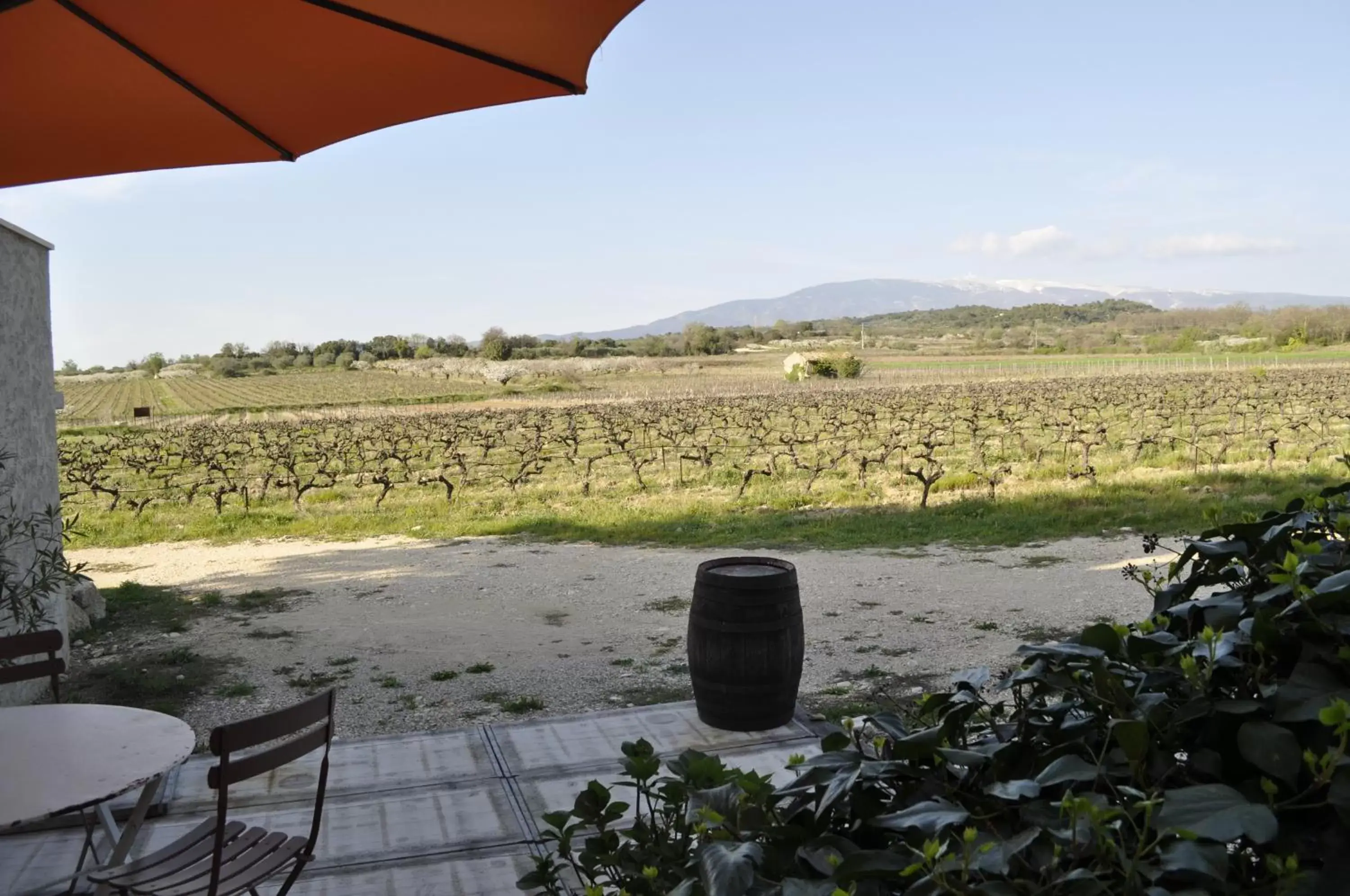 Patio in Le Mas de Plein Pagnier