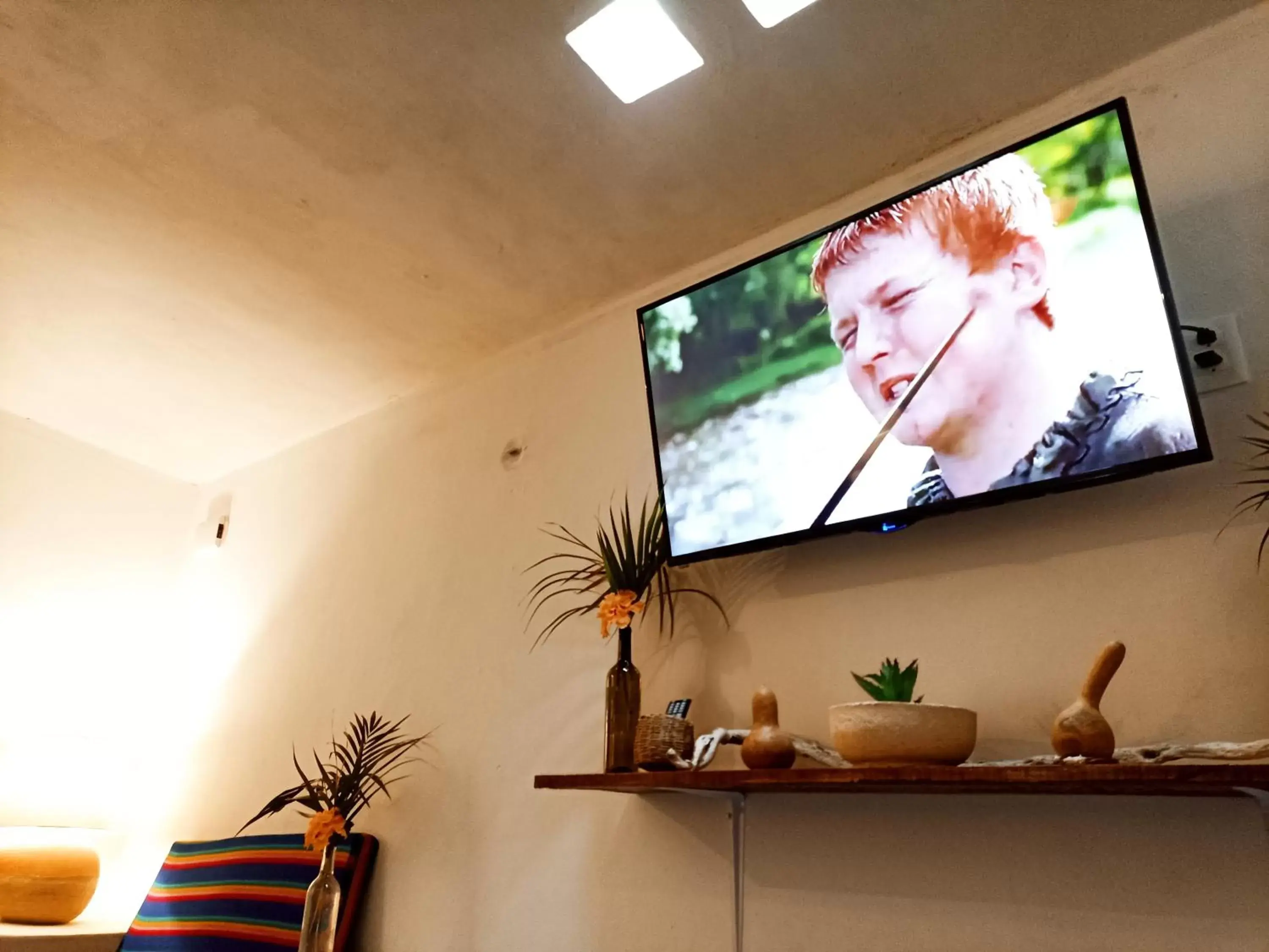 TV/Entertainment Center in Casa De Los Pájaros - B&B