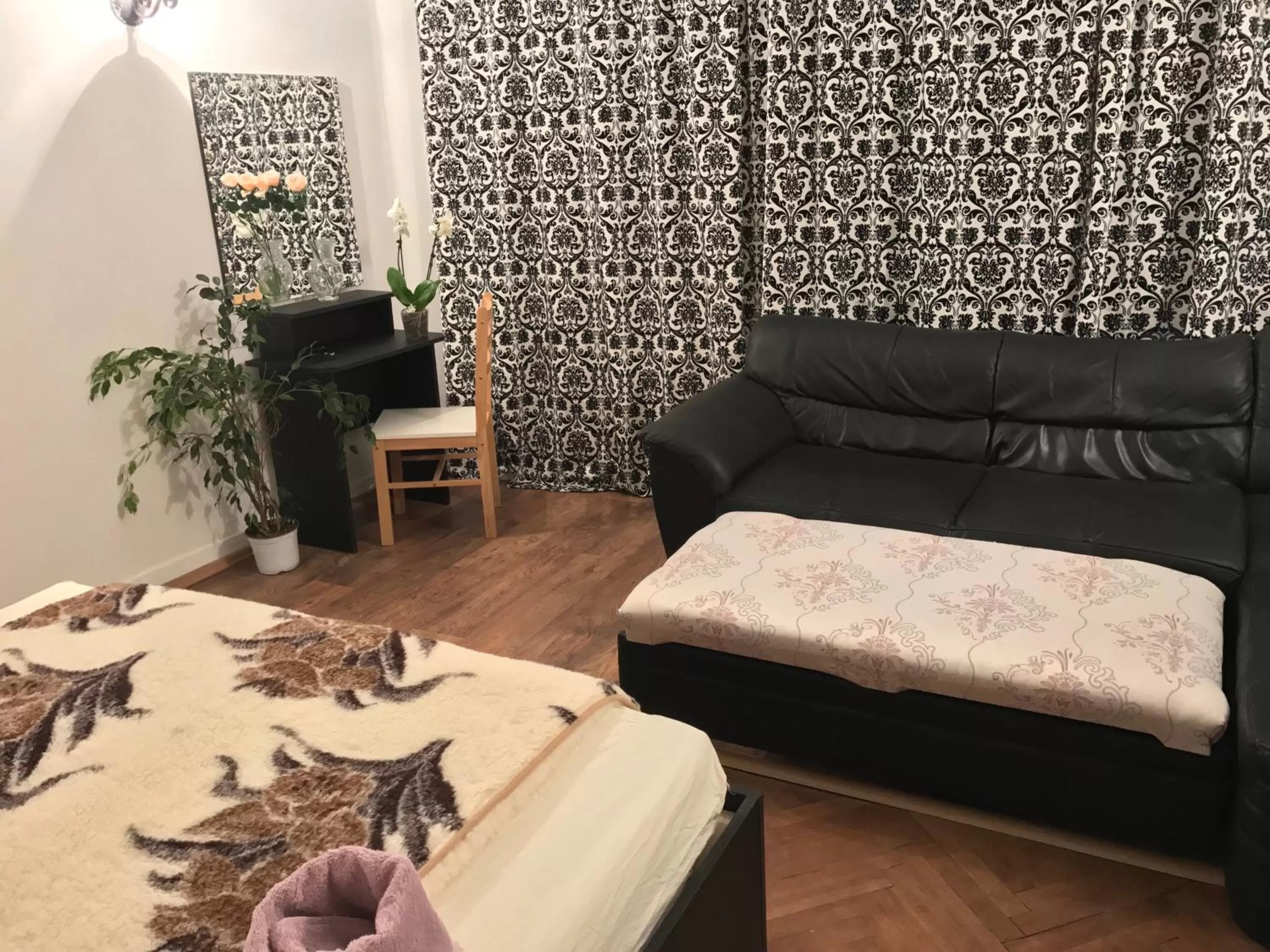 Photo of the whole room in Belle Stelle Sofia