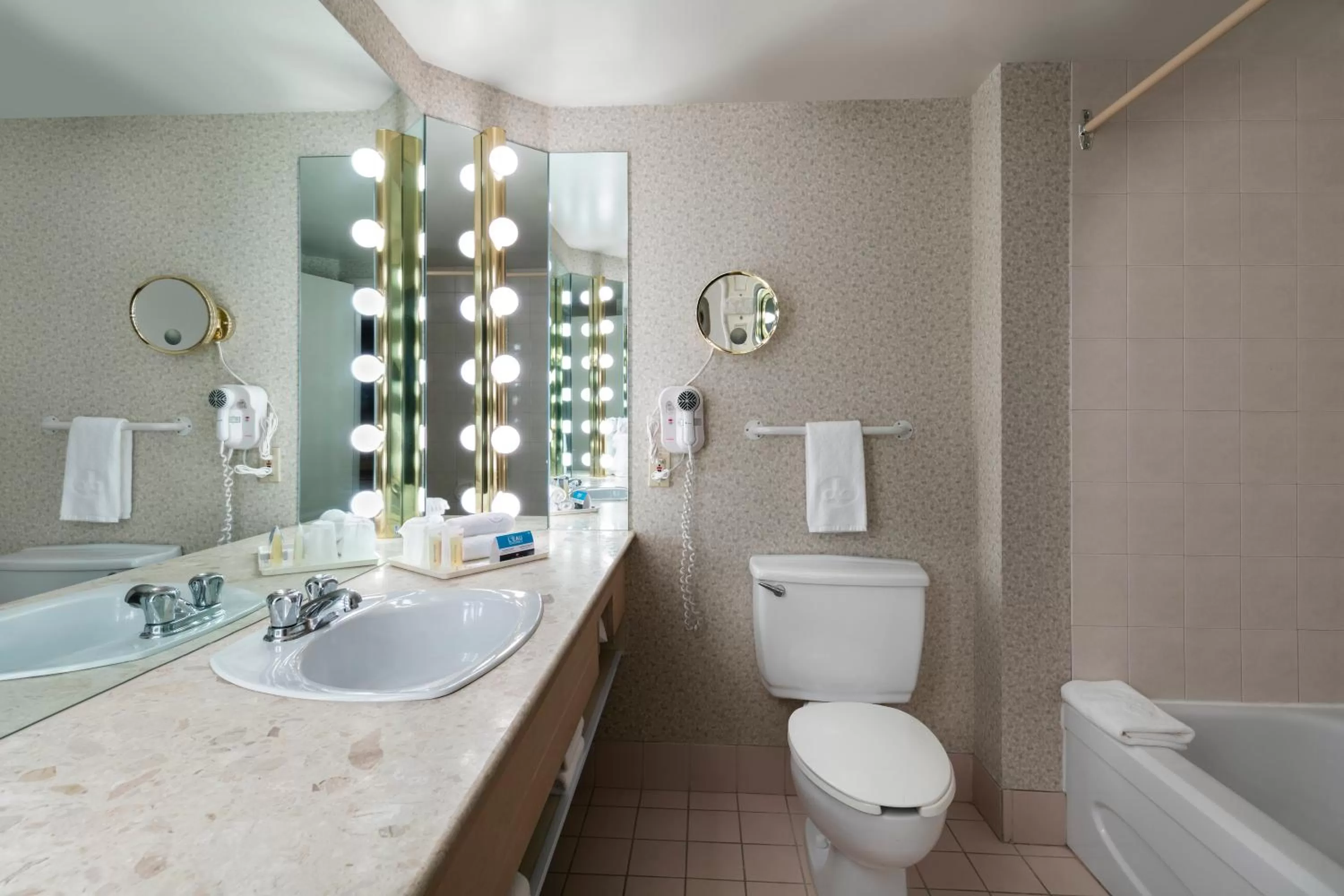 Bathroom in Hôtels Gouverneur Montréal - Île Charron