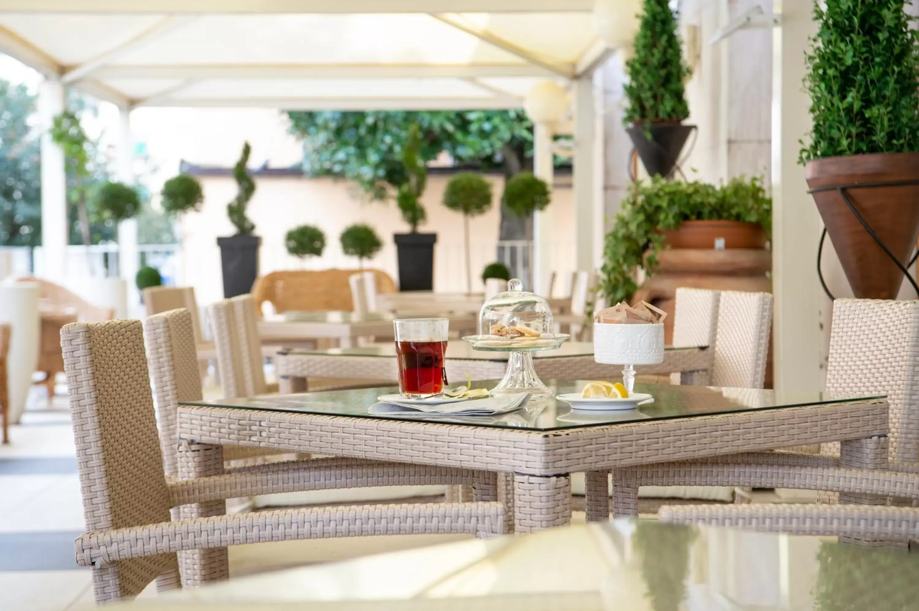Restaurant/Places to Eat in Hotel Ariston & Spa