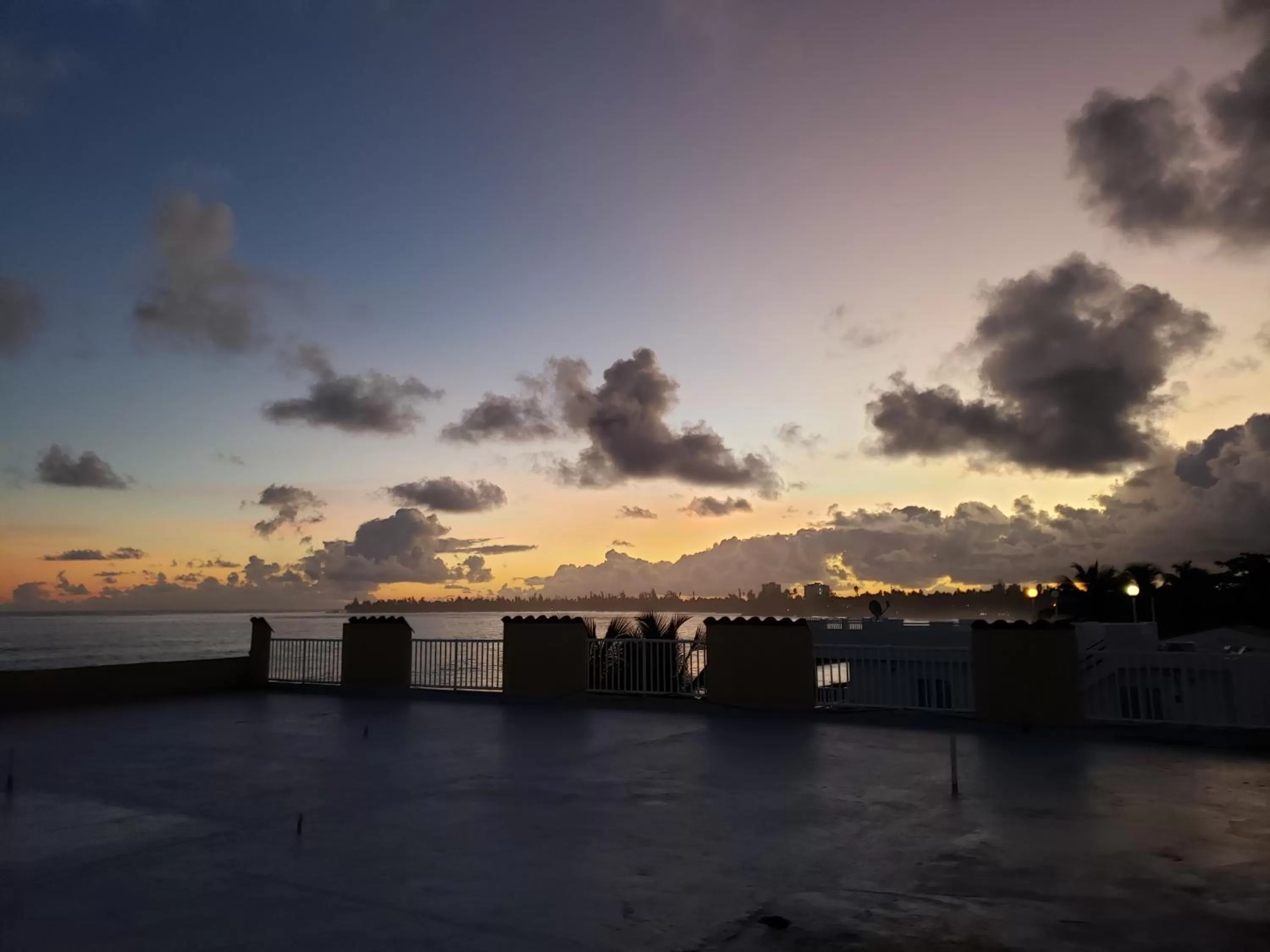 Natural landscape in Selva Boutique Hotel - Luquillo Oceanfront Retreat - Adults Only