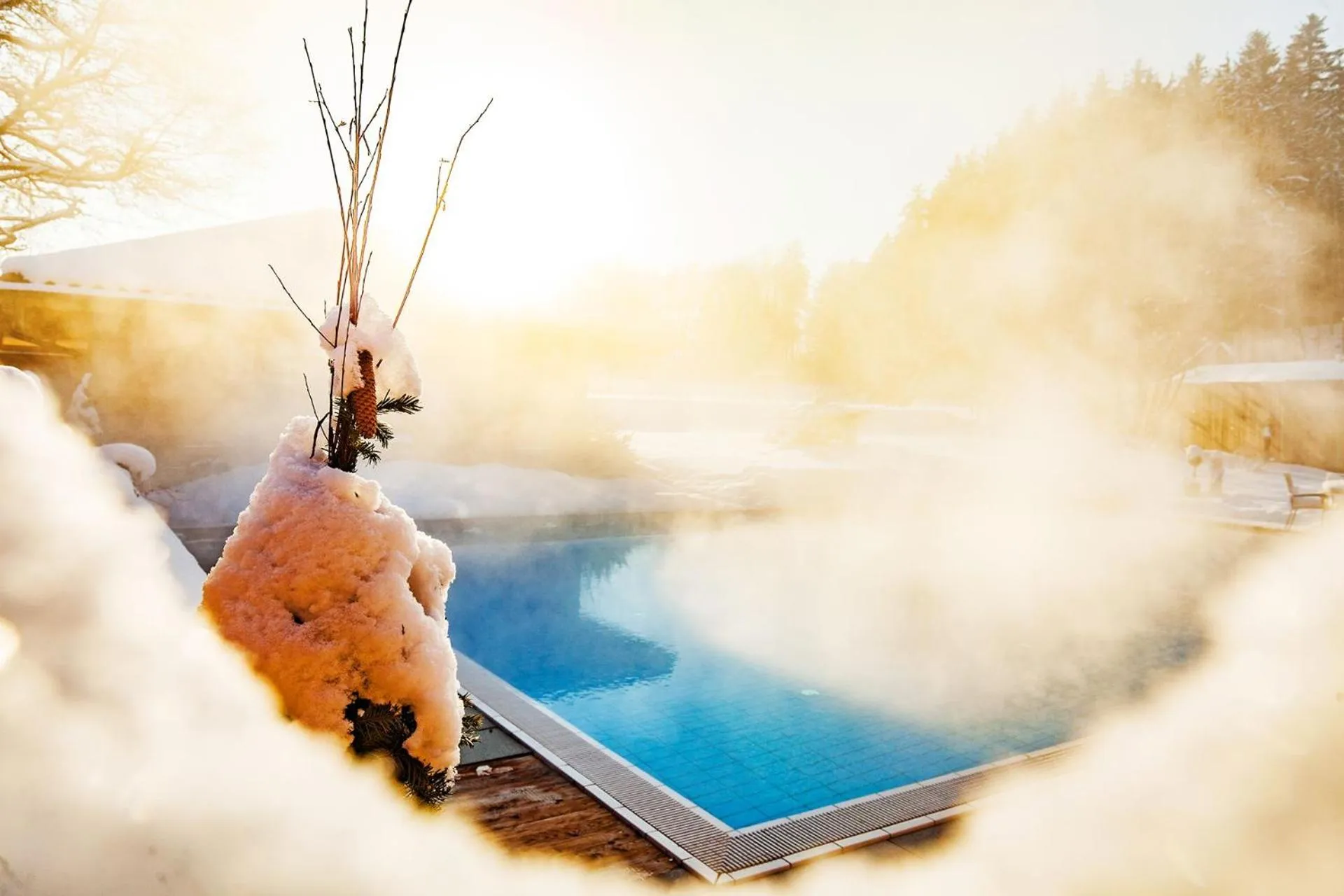 Spa and wellness centre/facilities in Hotel Rupertihof