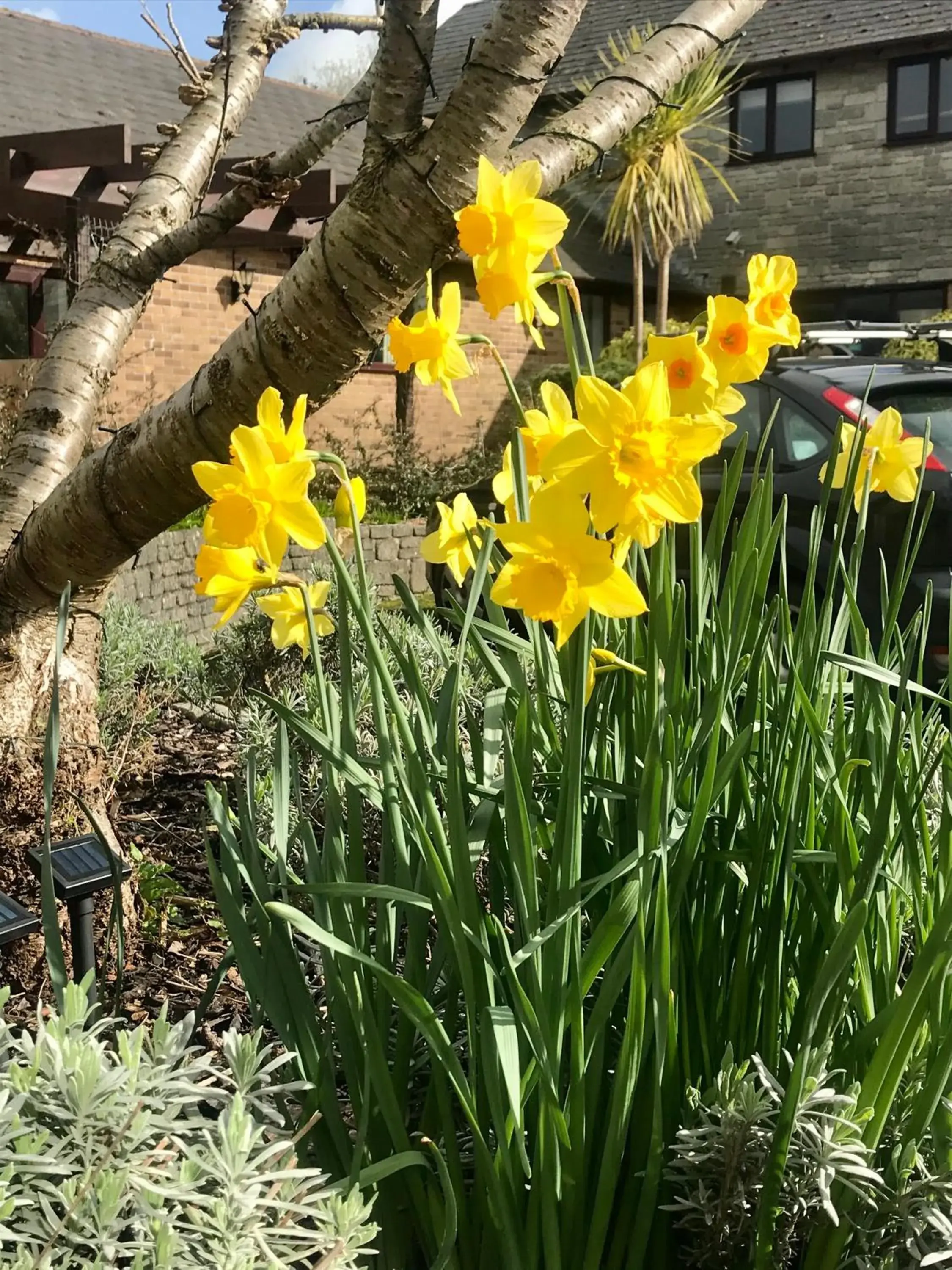 Garden in Smithaleigh Farm Rooms and Apartments