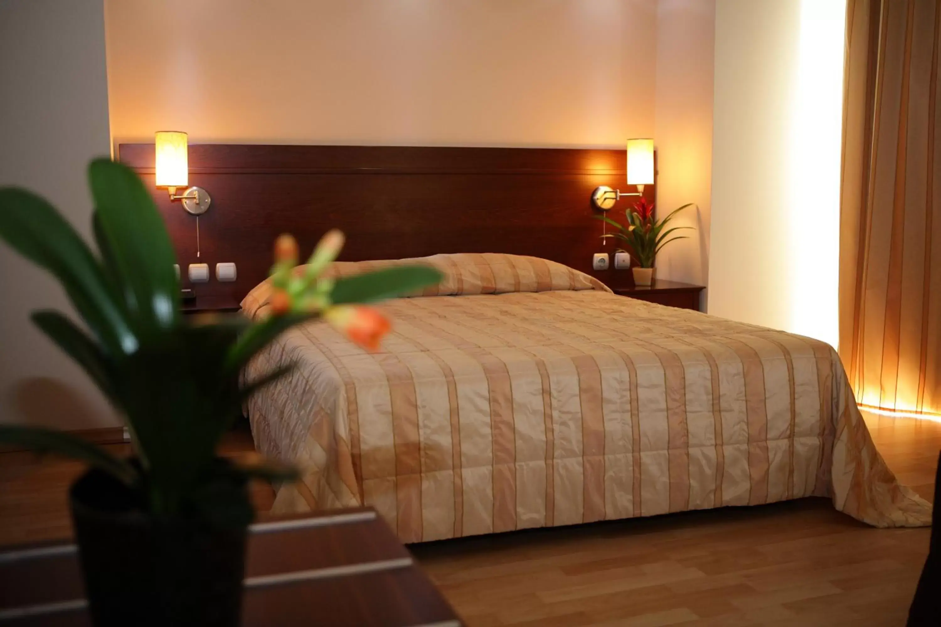 Deluxe Double Room with Sea View in Flisvos Hotel Nafpaktos
