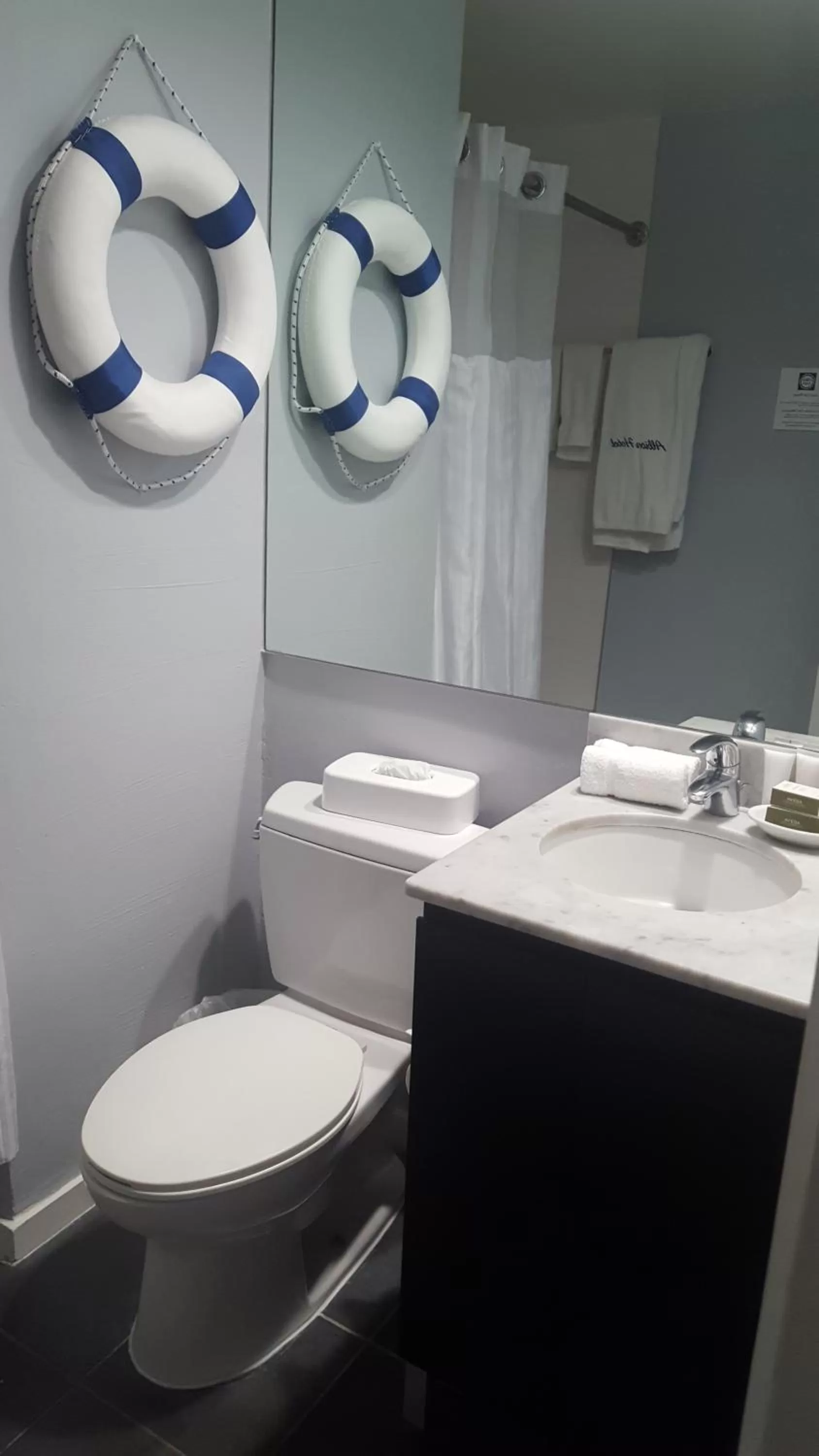 Bathroom in Albion Hotel