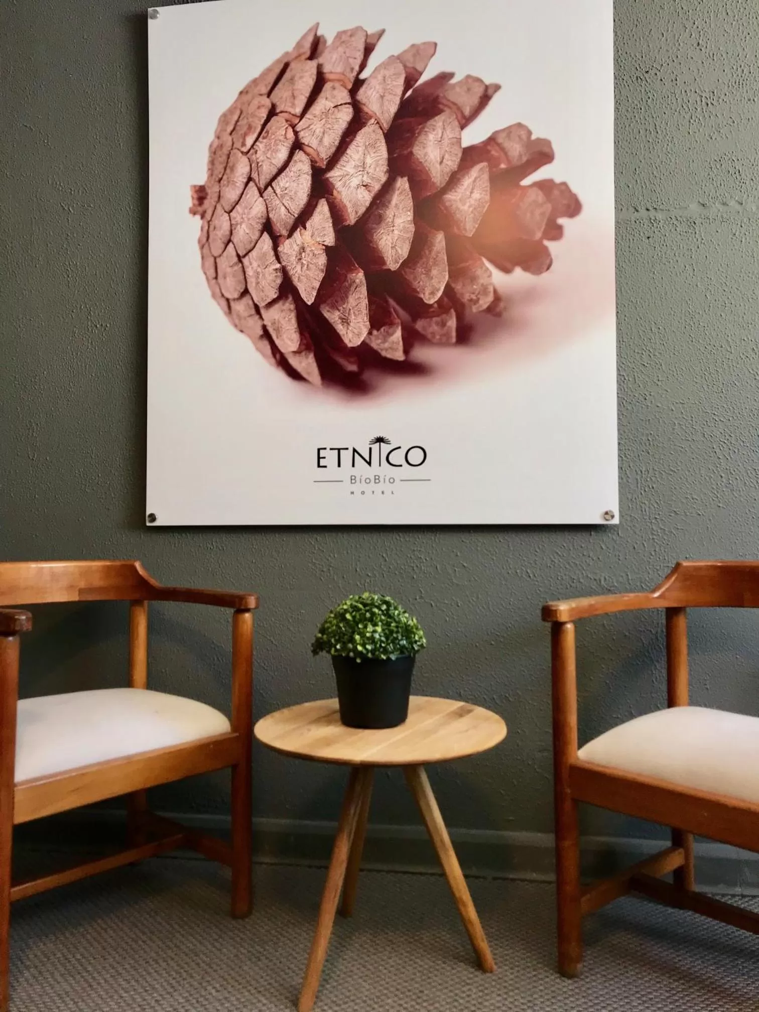 Lobby or reception in Etnico Bío Bío Hotel