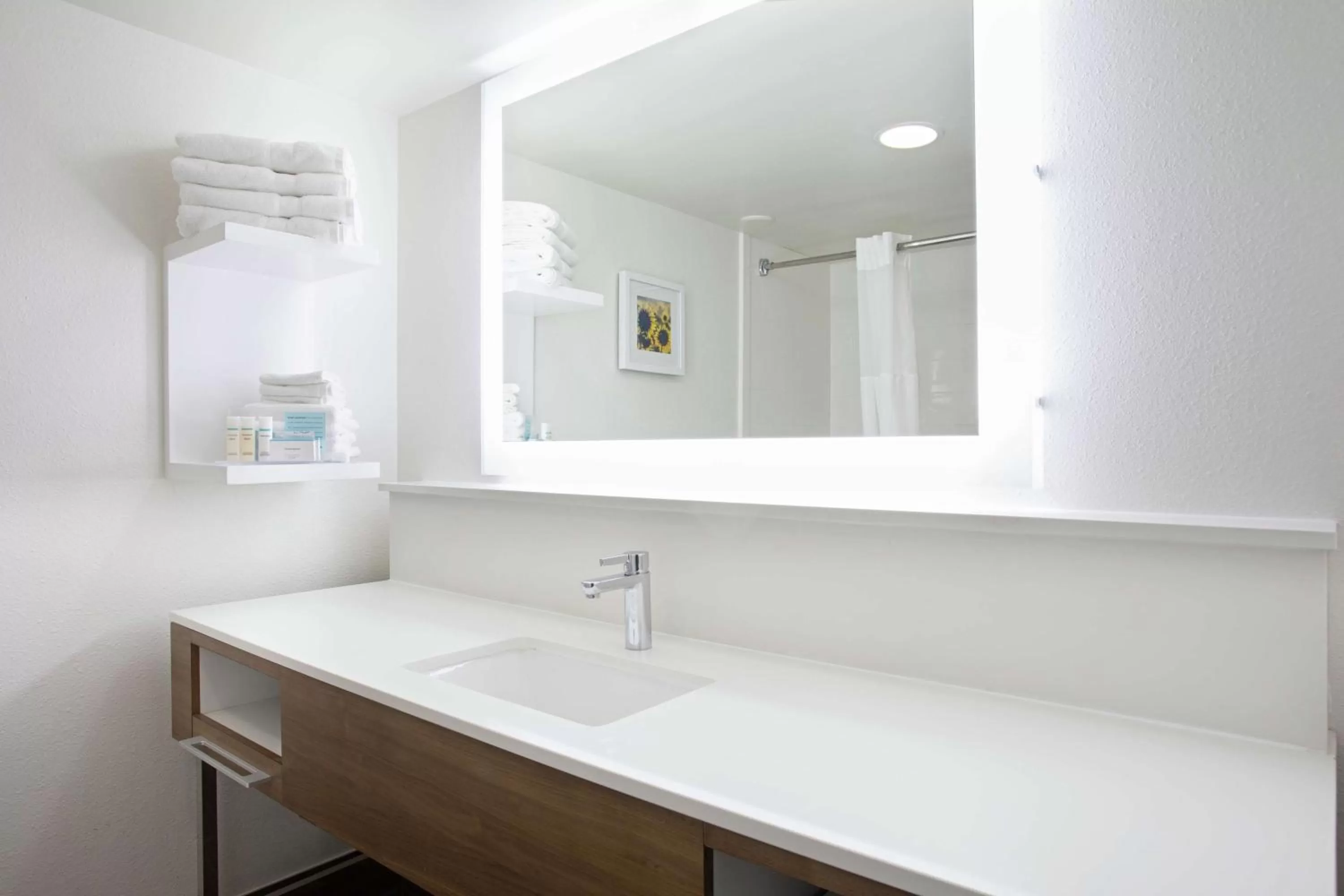 Bathroom in Hampton Inn & Suites Kansas City-Merriam