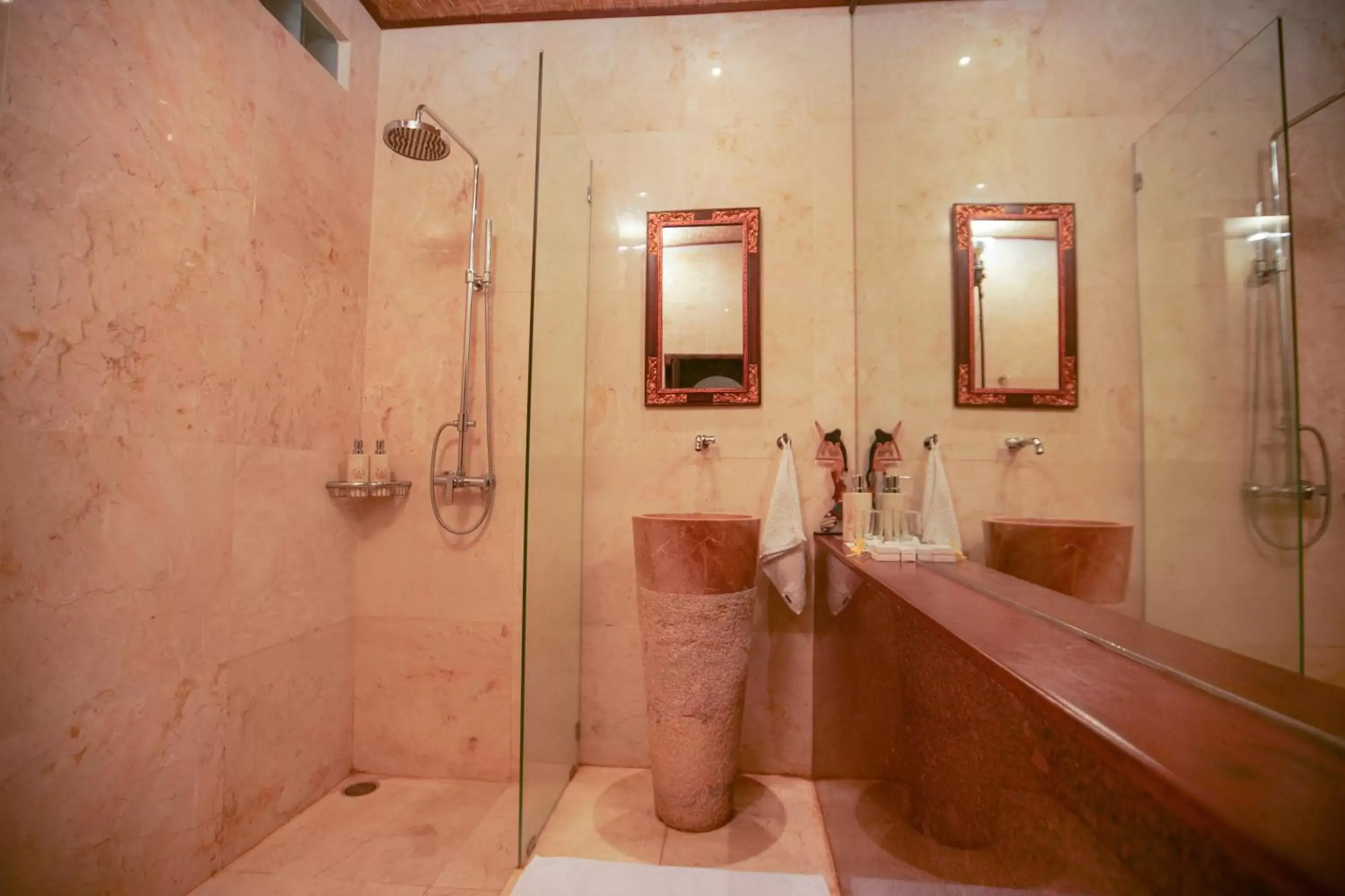 Shower, Bathroom in Gayatri