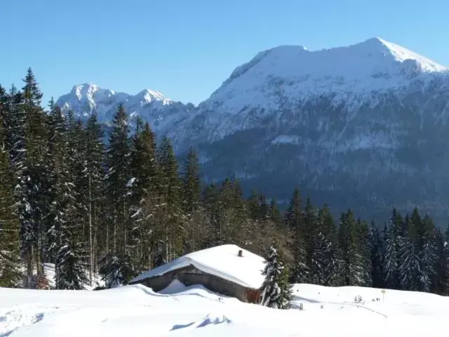 Winter in Gästehaus Inzeller Hof