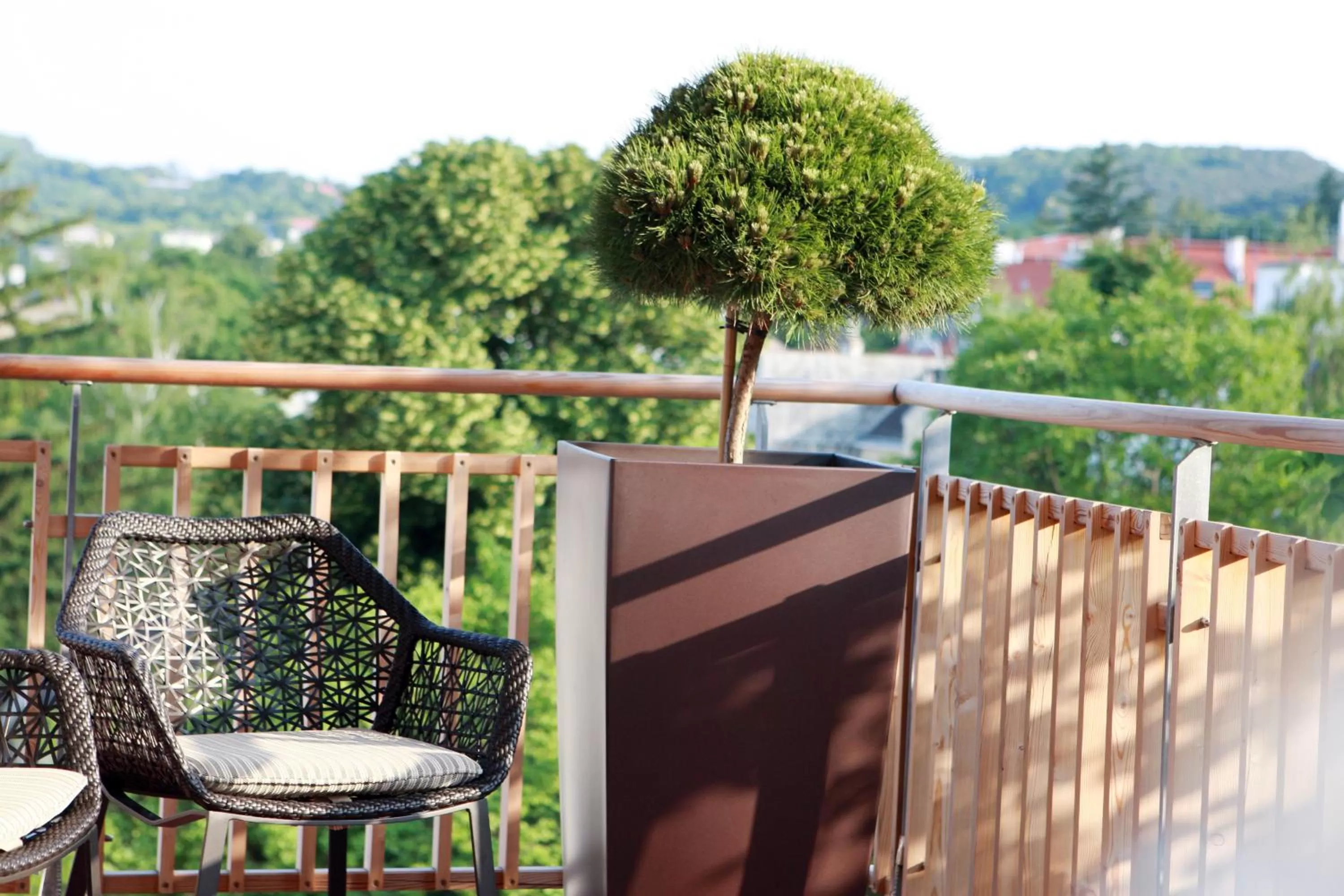 Balcony/Terrace in Hotel Babenbergerhof