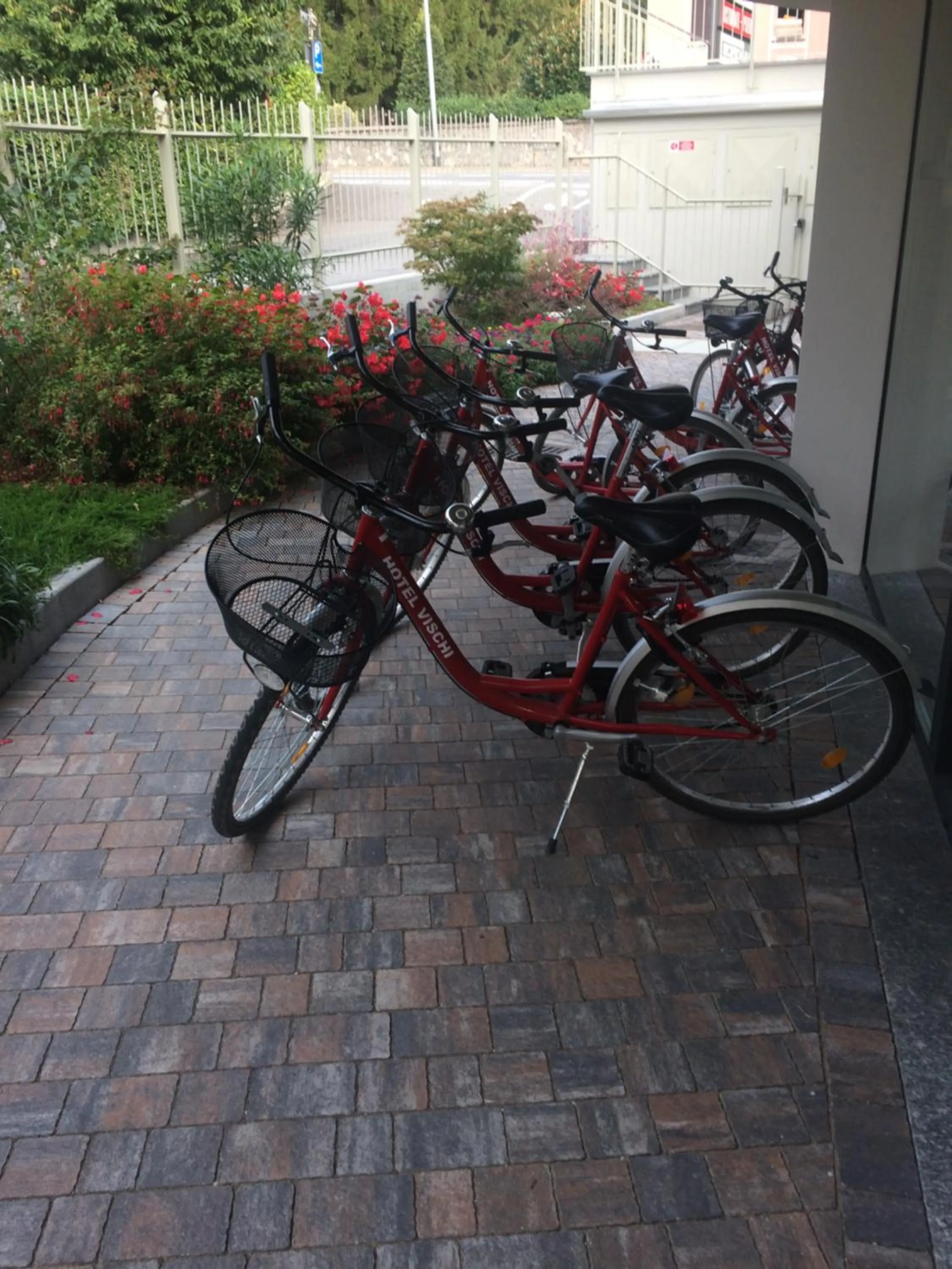 Cycling in Hotel Vischi