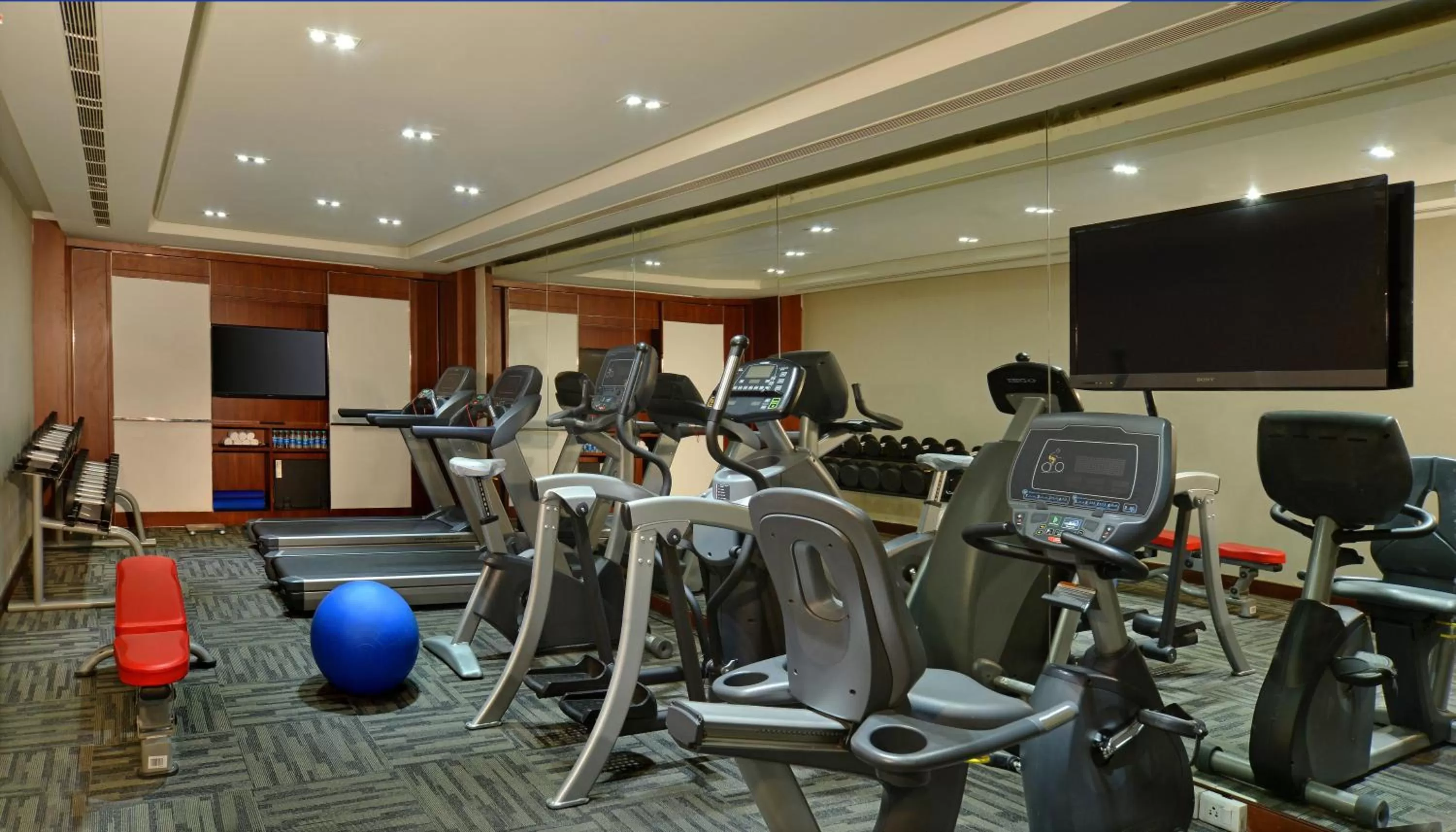 Fitness centre/facilities in Radisson Blu Jaipur