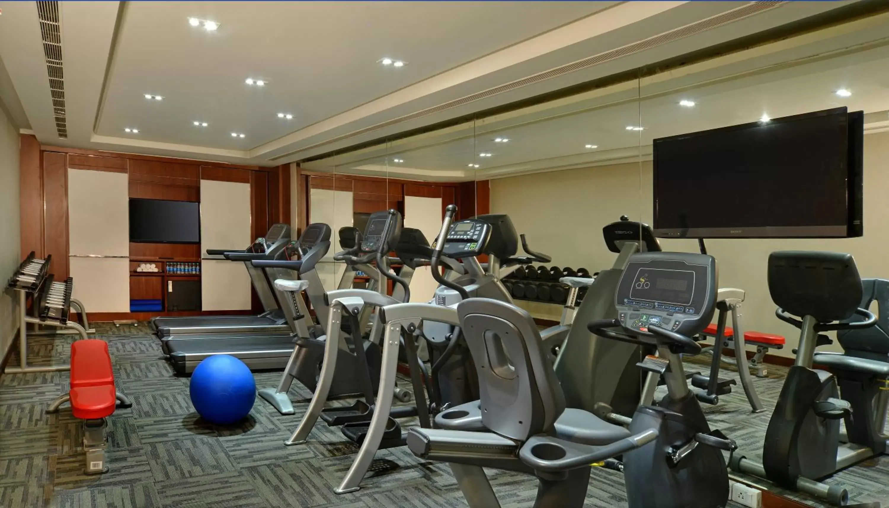 Fitness centre/facilities, Fitness Center/Facilities in Radisson Blu Jaipur