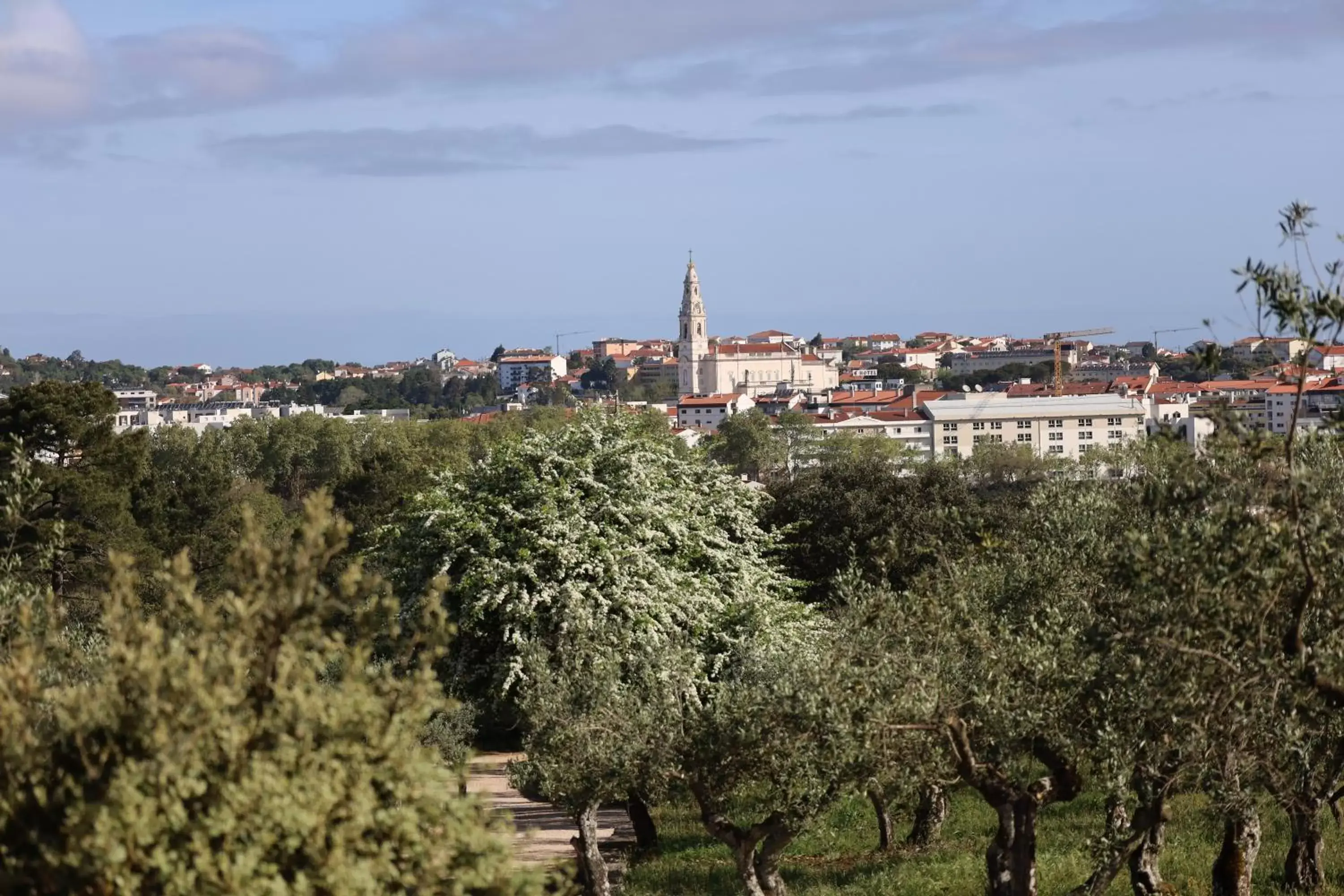 Nearby landmark in Hotel Dom Goncalo & Spa