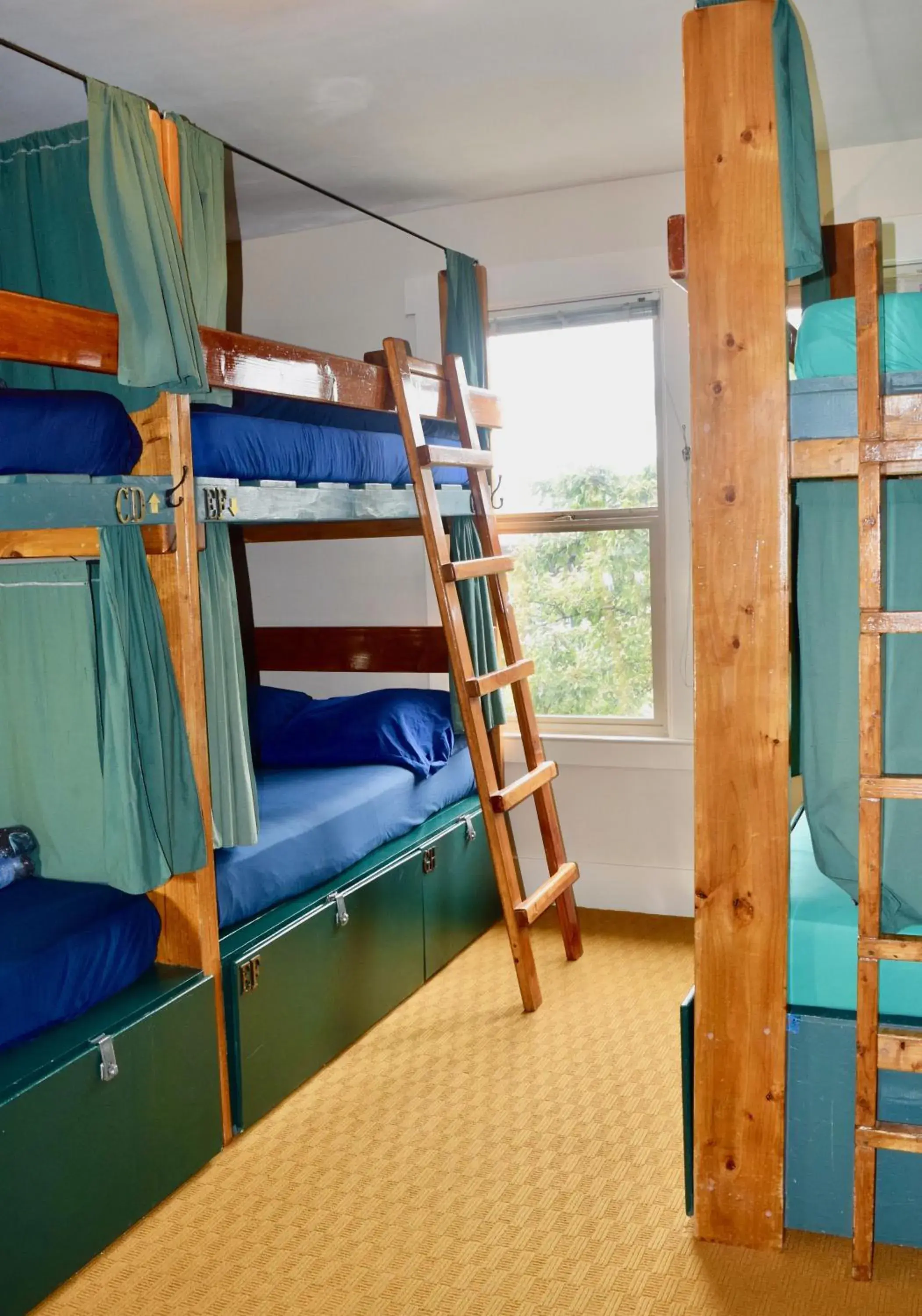 Photo of the whole room, Bunk Bed in Green Tortoise Hostel Seattle