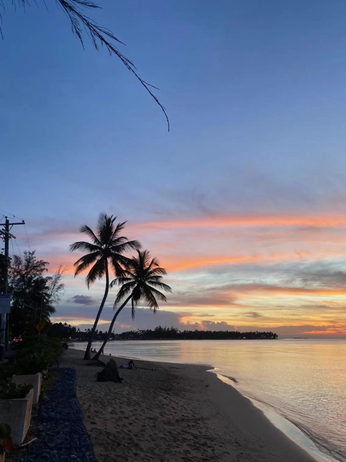Beach in Hotel La Tortuga