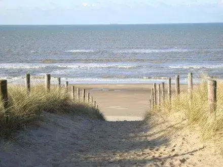 Beach in Tiny House Boatshed