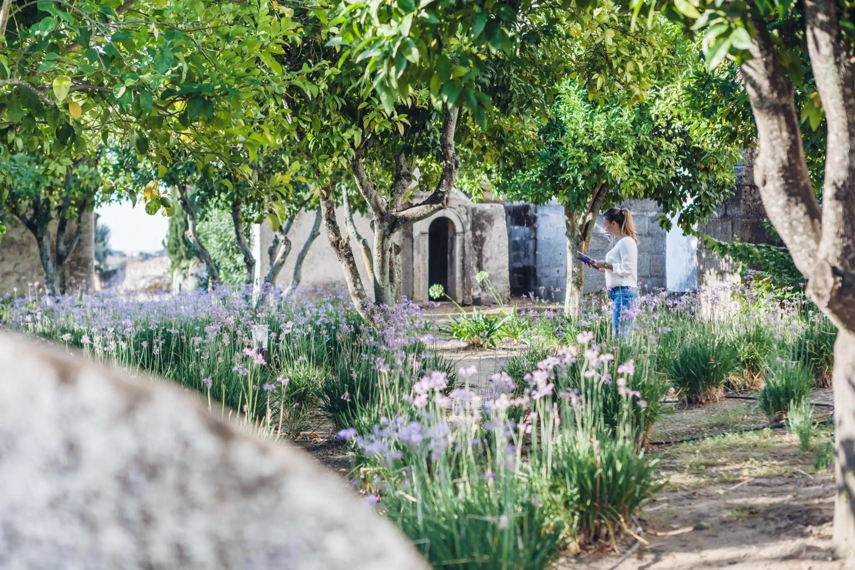 Garden, Property Building in Convento do Espinheiro, Historic Hotel & Spa