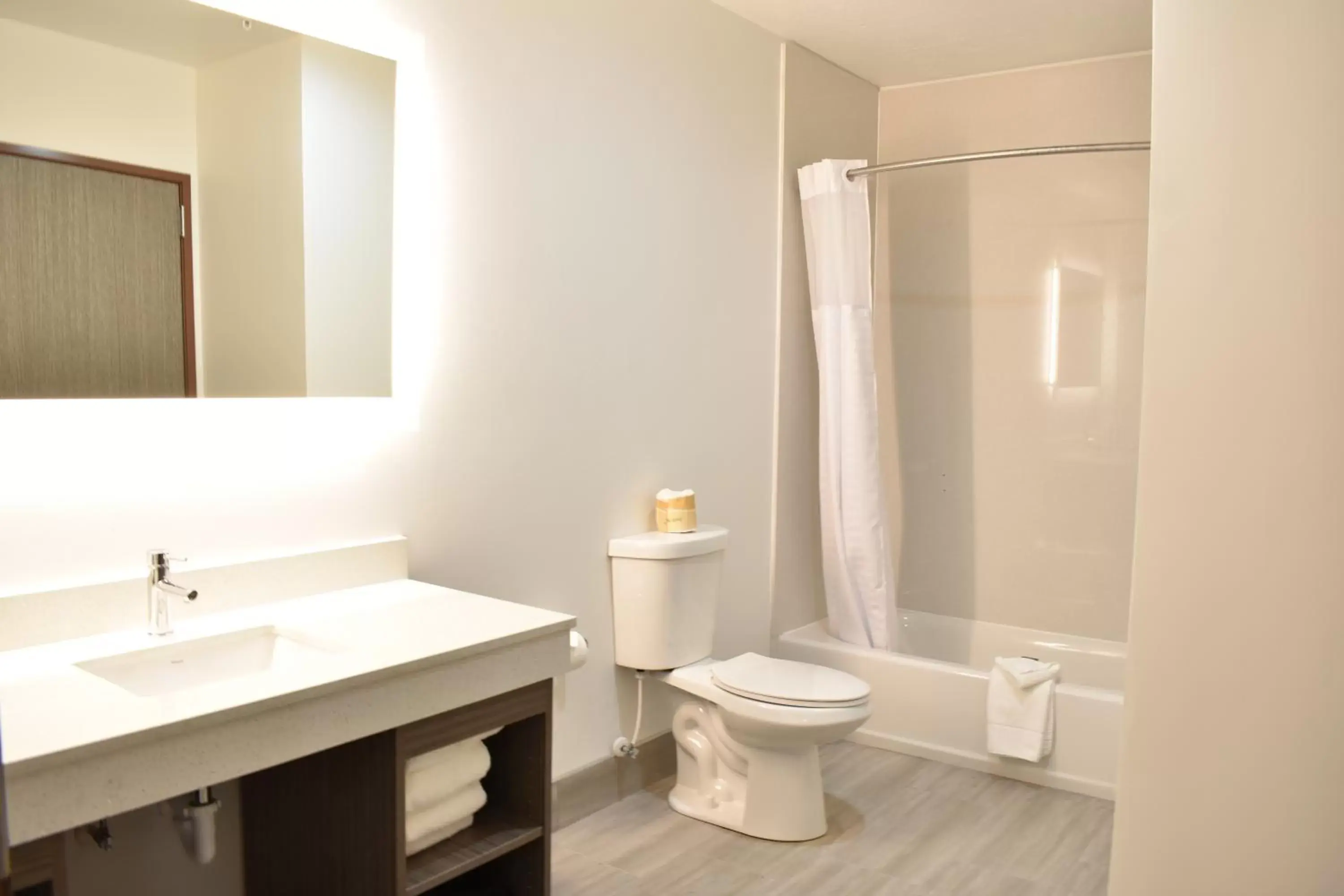 Bathroom in Zion Canyon Lodge