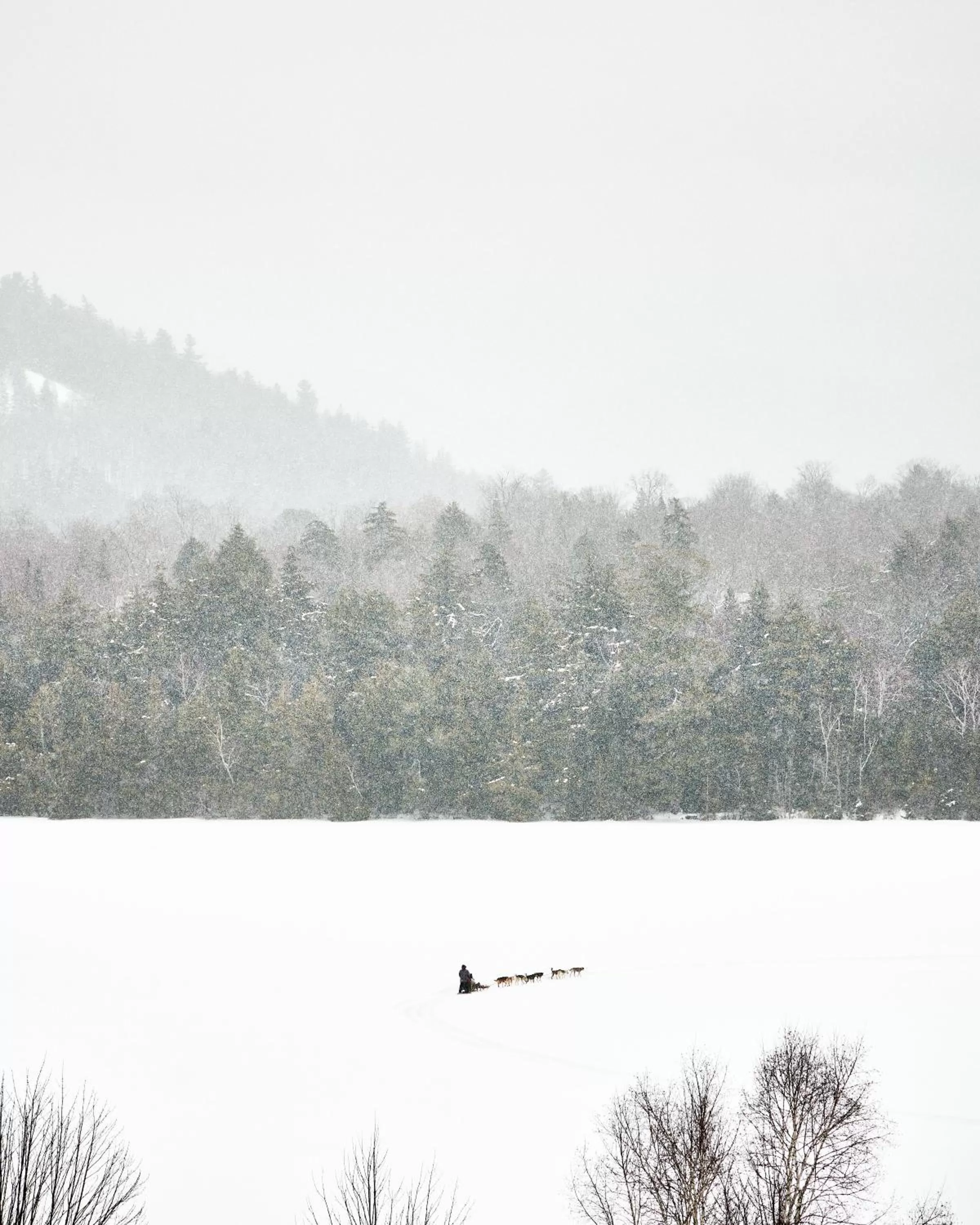 Natural landscape in Bluebird Lake Placid