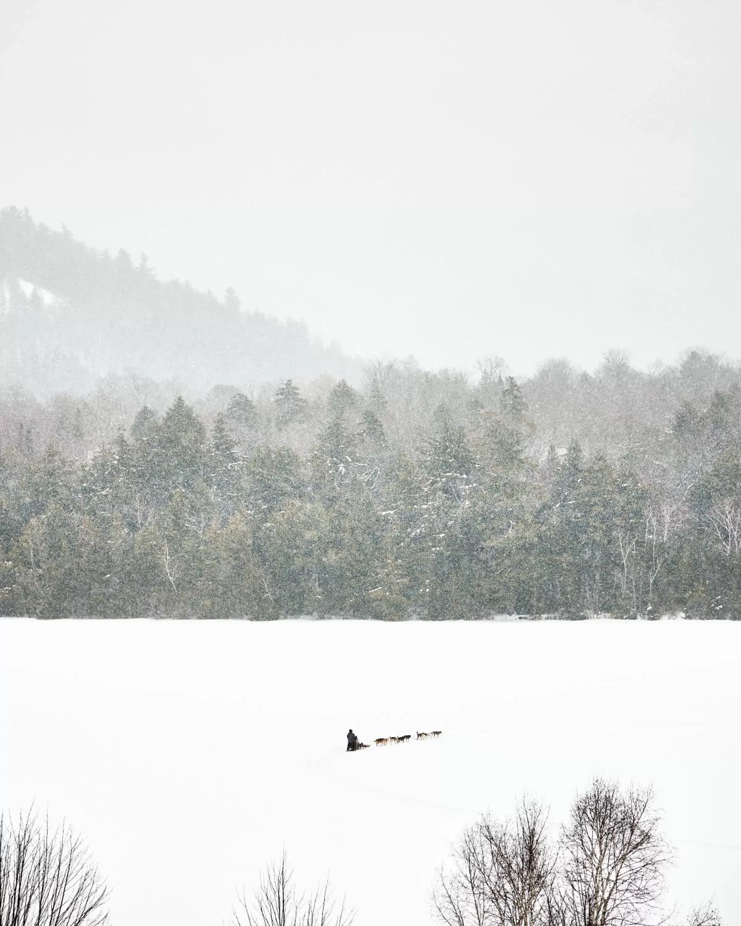 Natural landscape, Winter in Bluebird Lake Placid