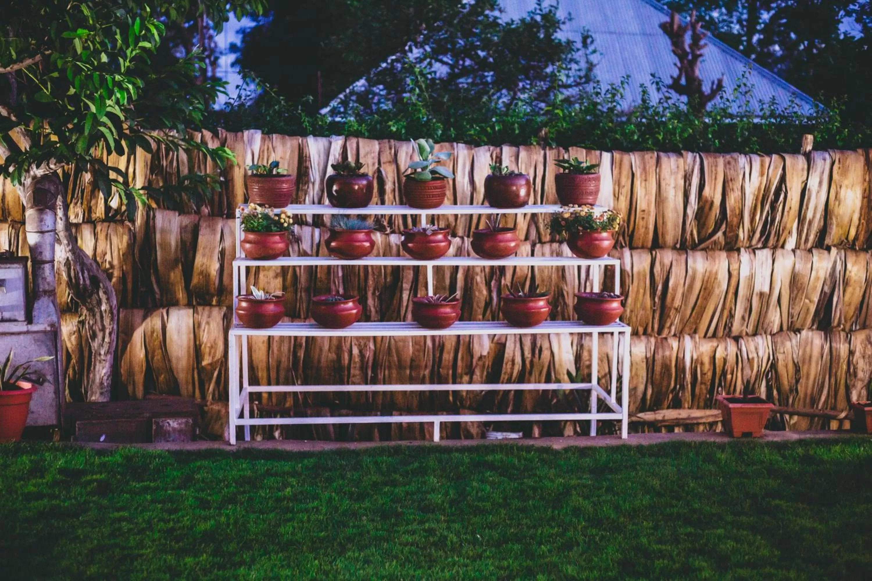 Children play ground in Kilimanjaro Scenic Homestay
