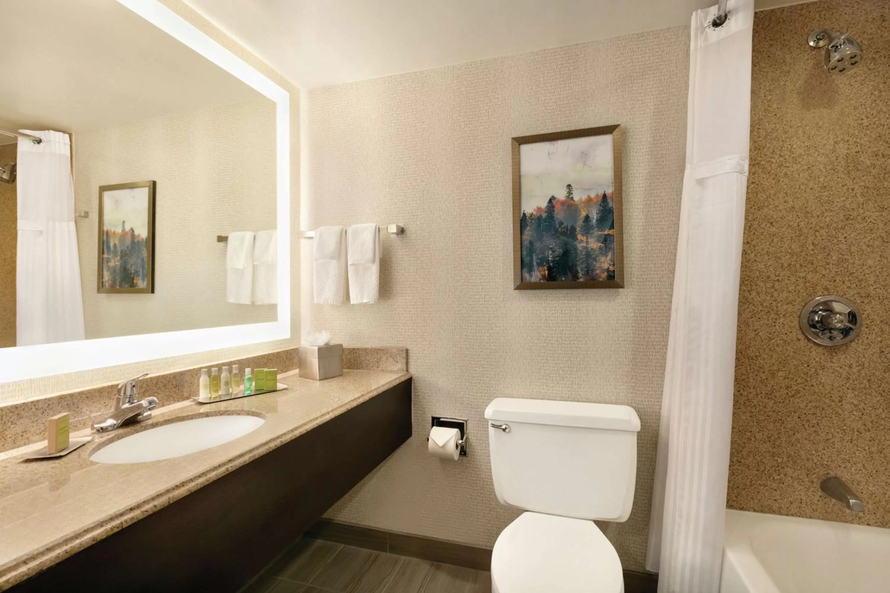 Bathroom in DoubleTree by Hilton Atlanta Northeast/Northlake