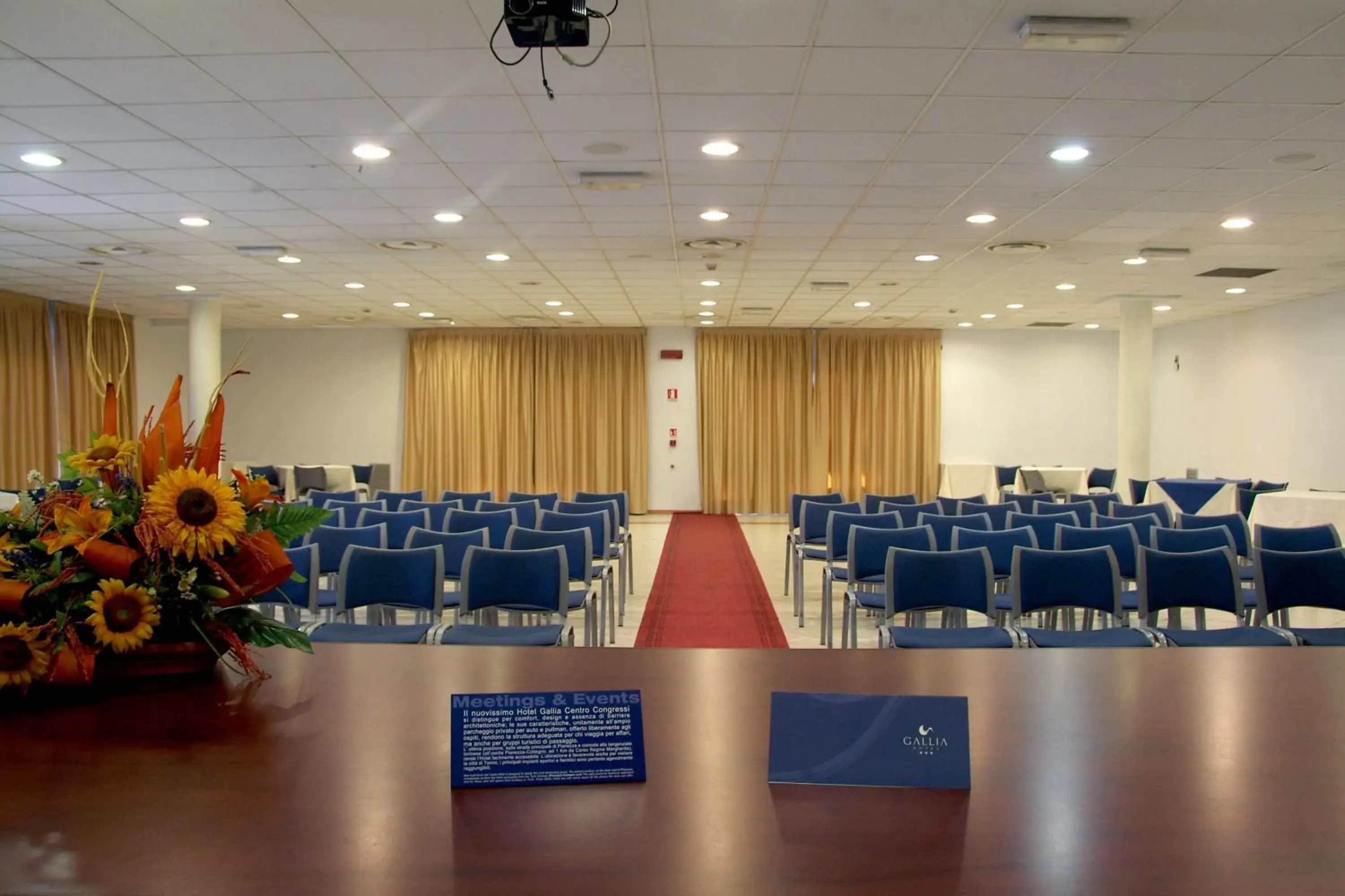 Business facilities in Hotel Gallia